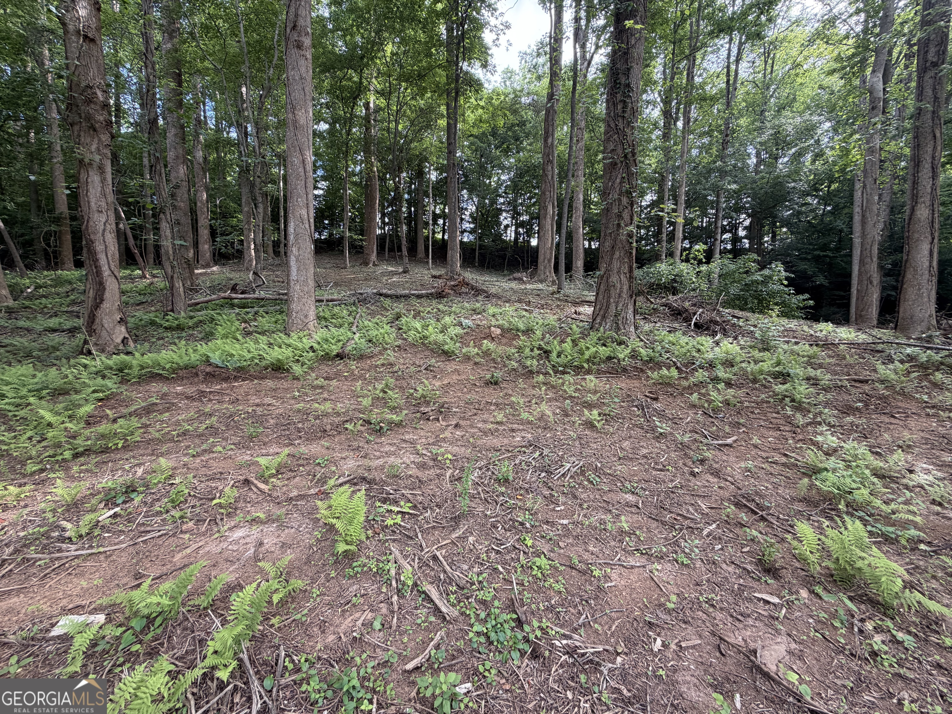 0 Martin Head Circle Property Photo 3