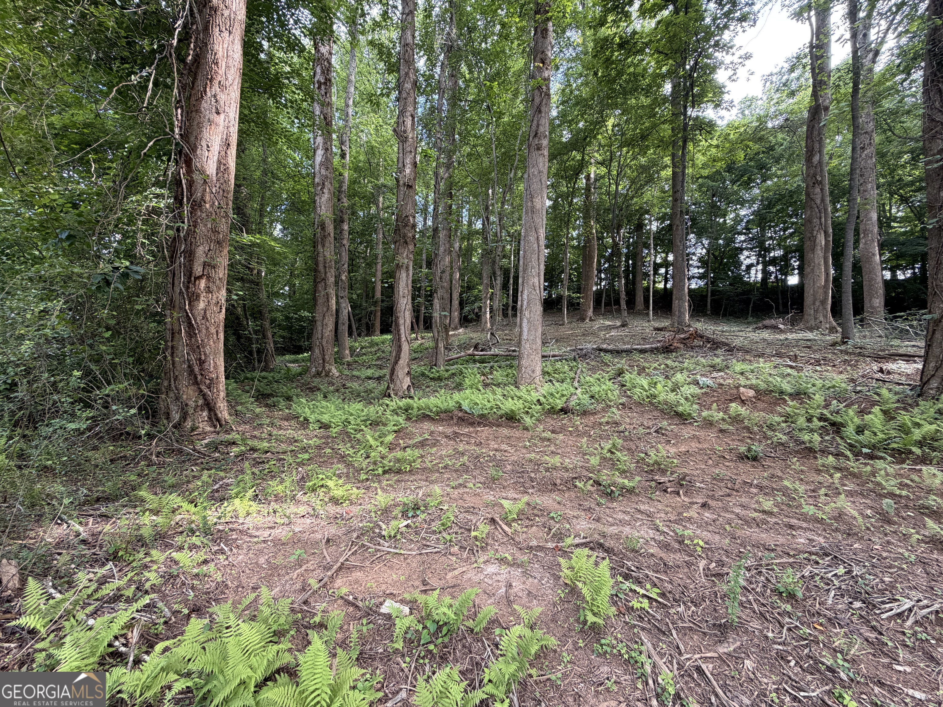 0 Martin Head Circle Property Photo 4