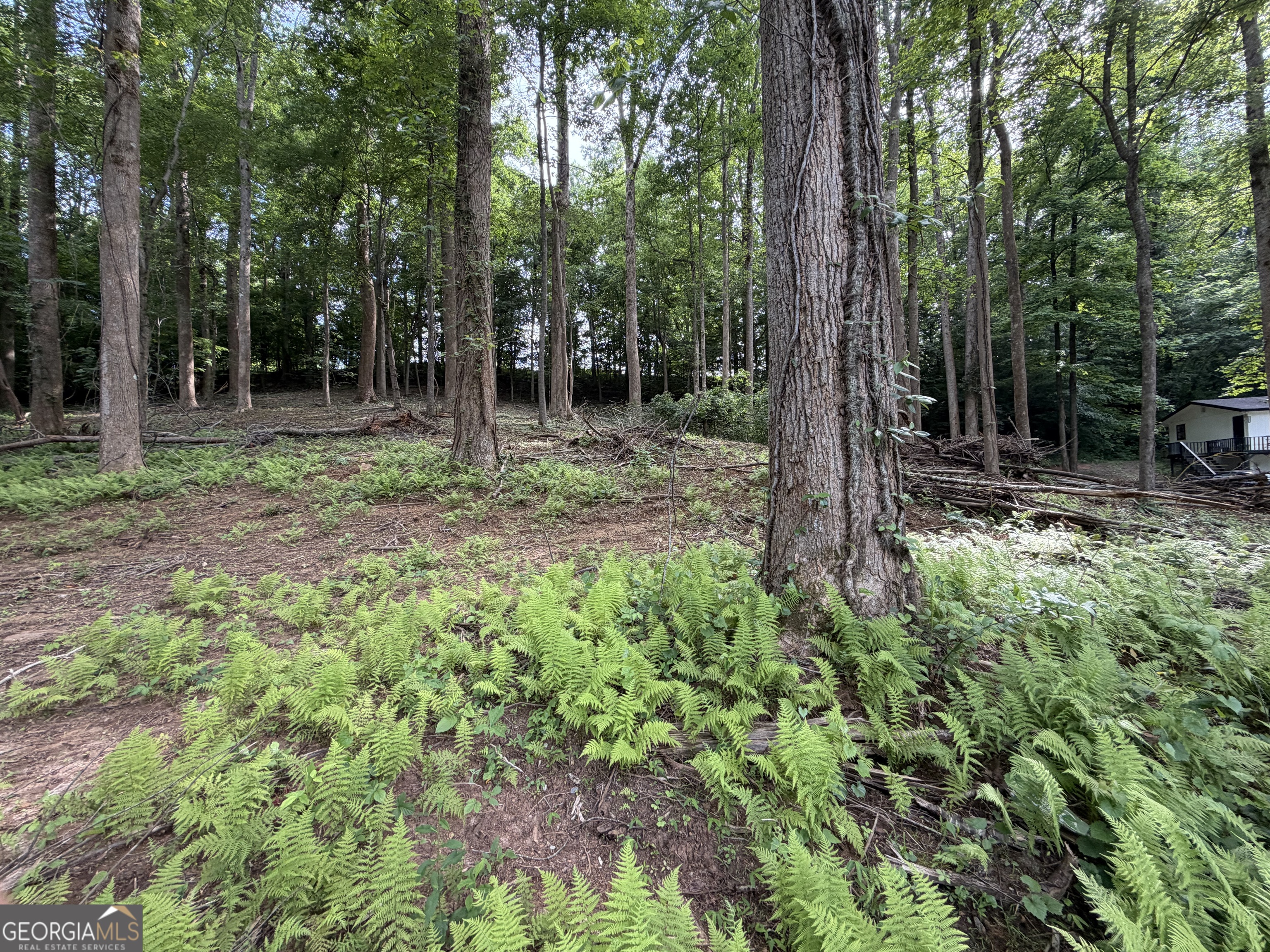 0 Martin Head Circle Property Photo 5