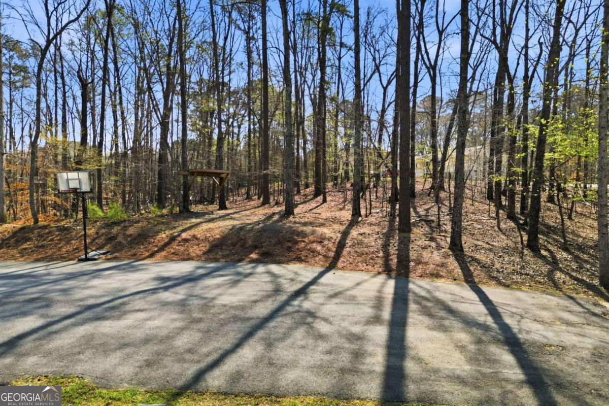 251 Fields Landing Drive Property Photo 47
