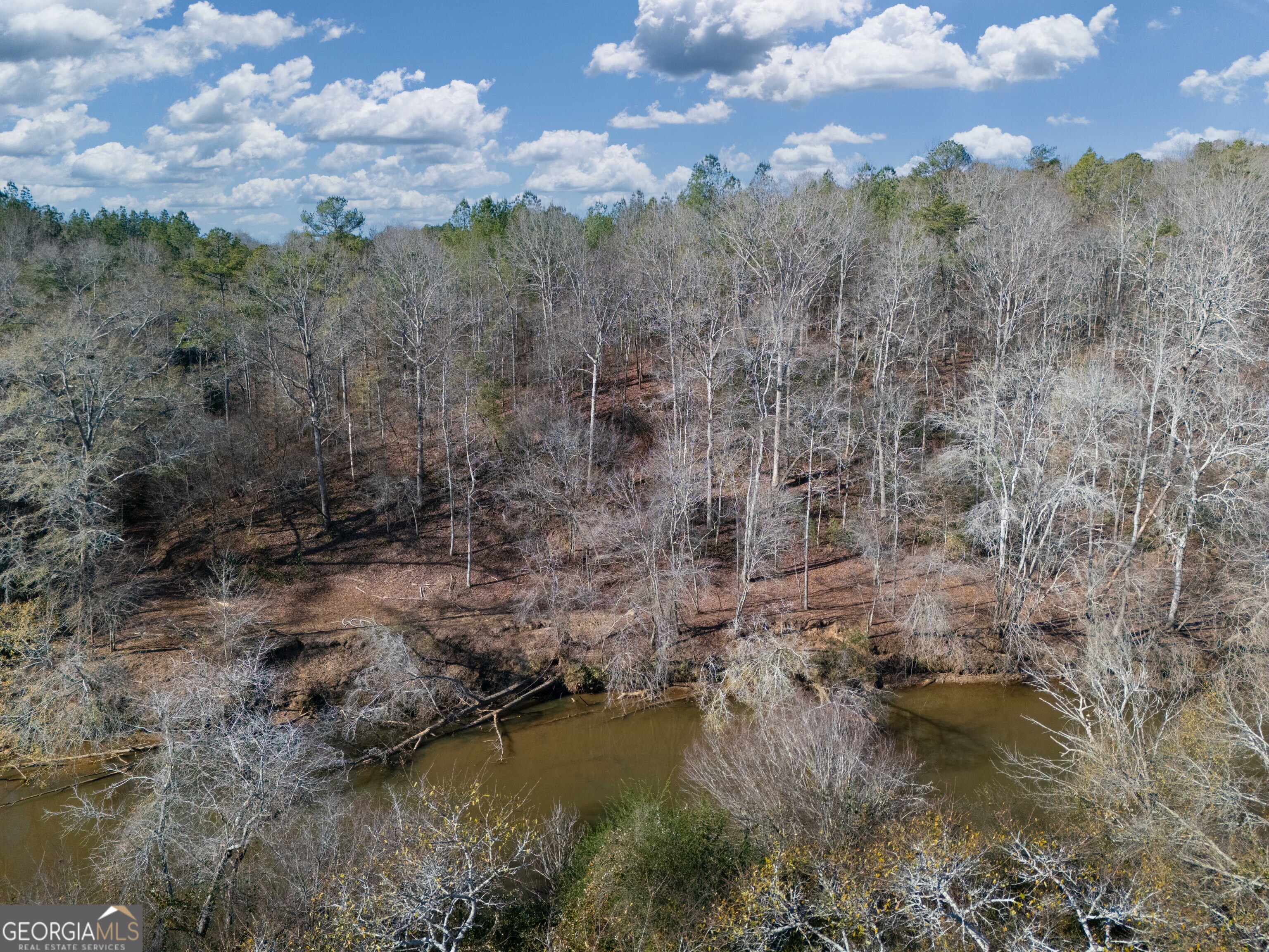 0 County Road 432 Lot 4 # L4 Property Photo 1