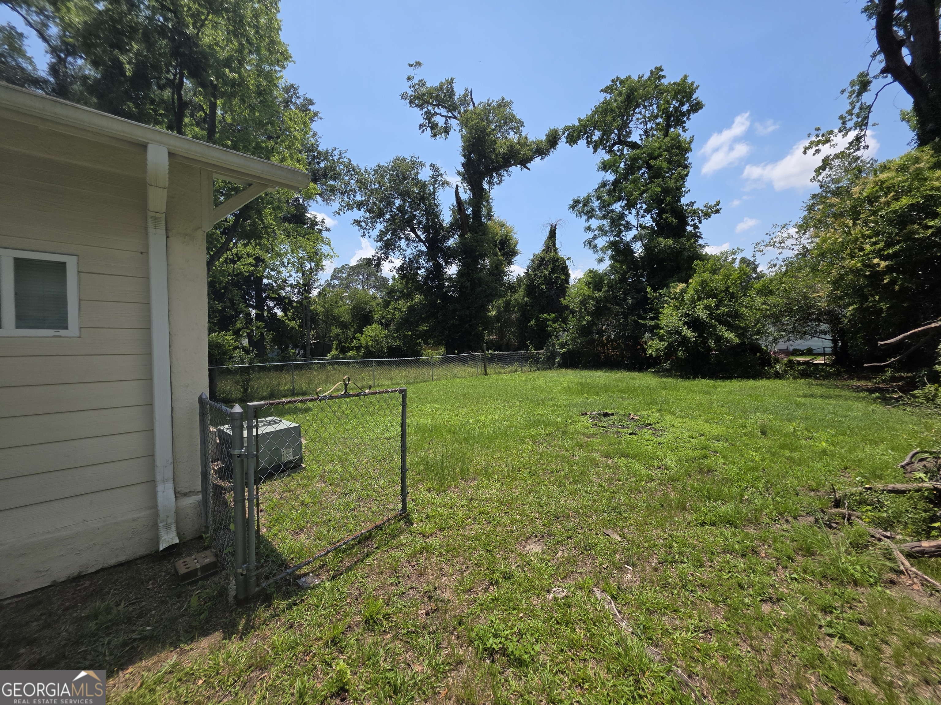 1313 Beman Street Property Photo 15