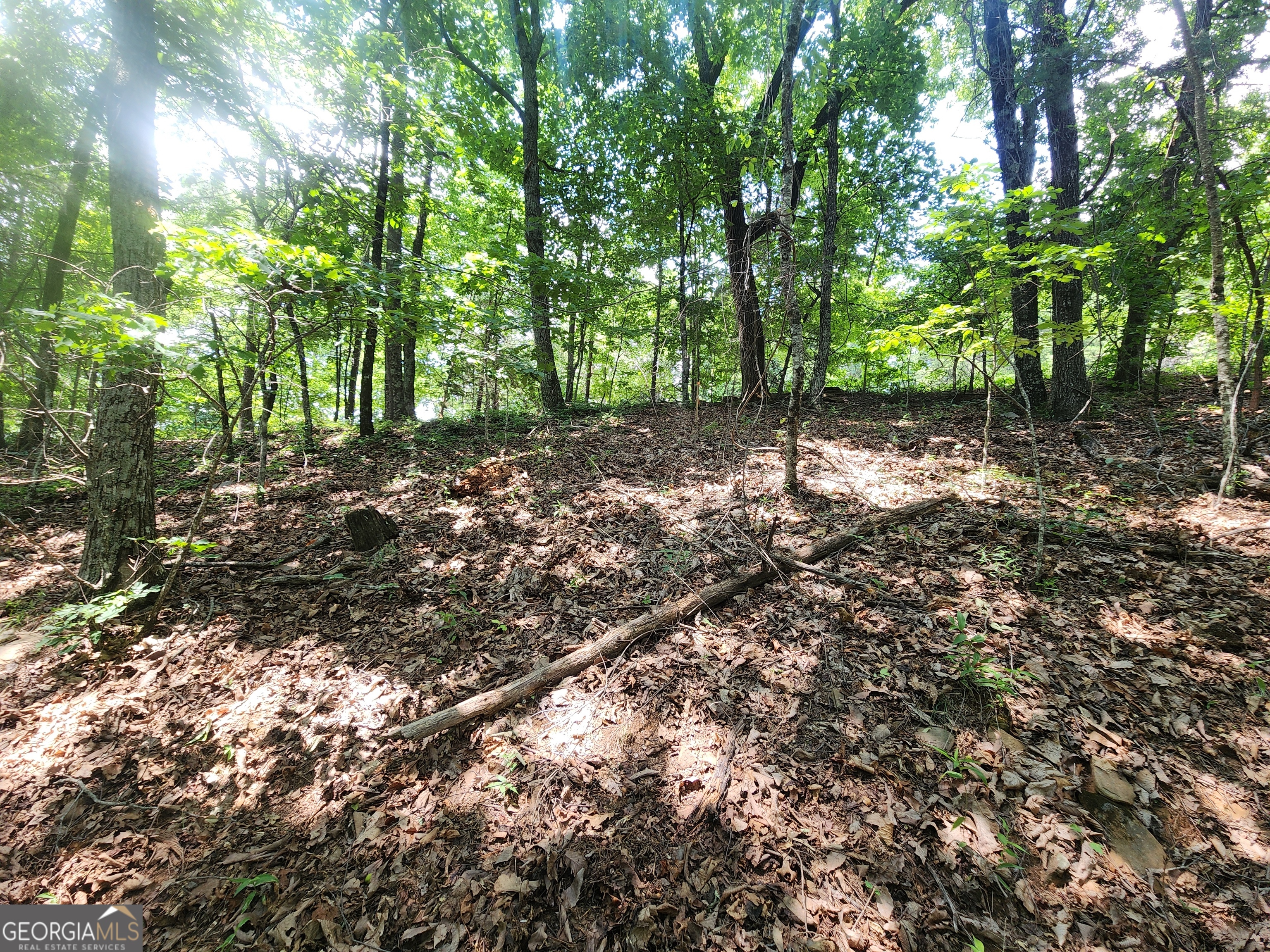 Lot #14 Little Eagle Mtn Property Photo 4