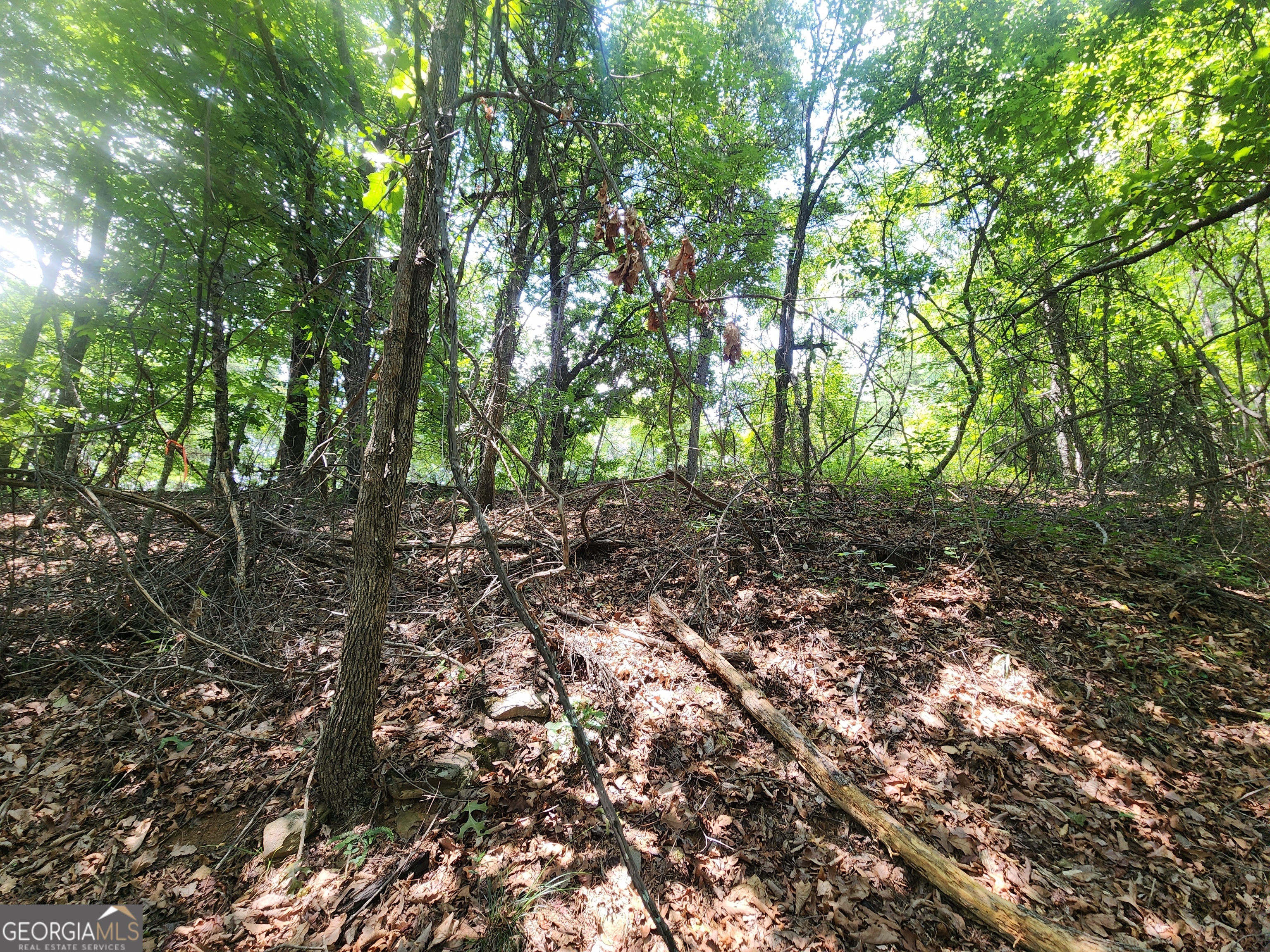 Lot #14 Little Eagle Mtn Property Photo 5