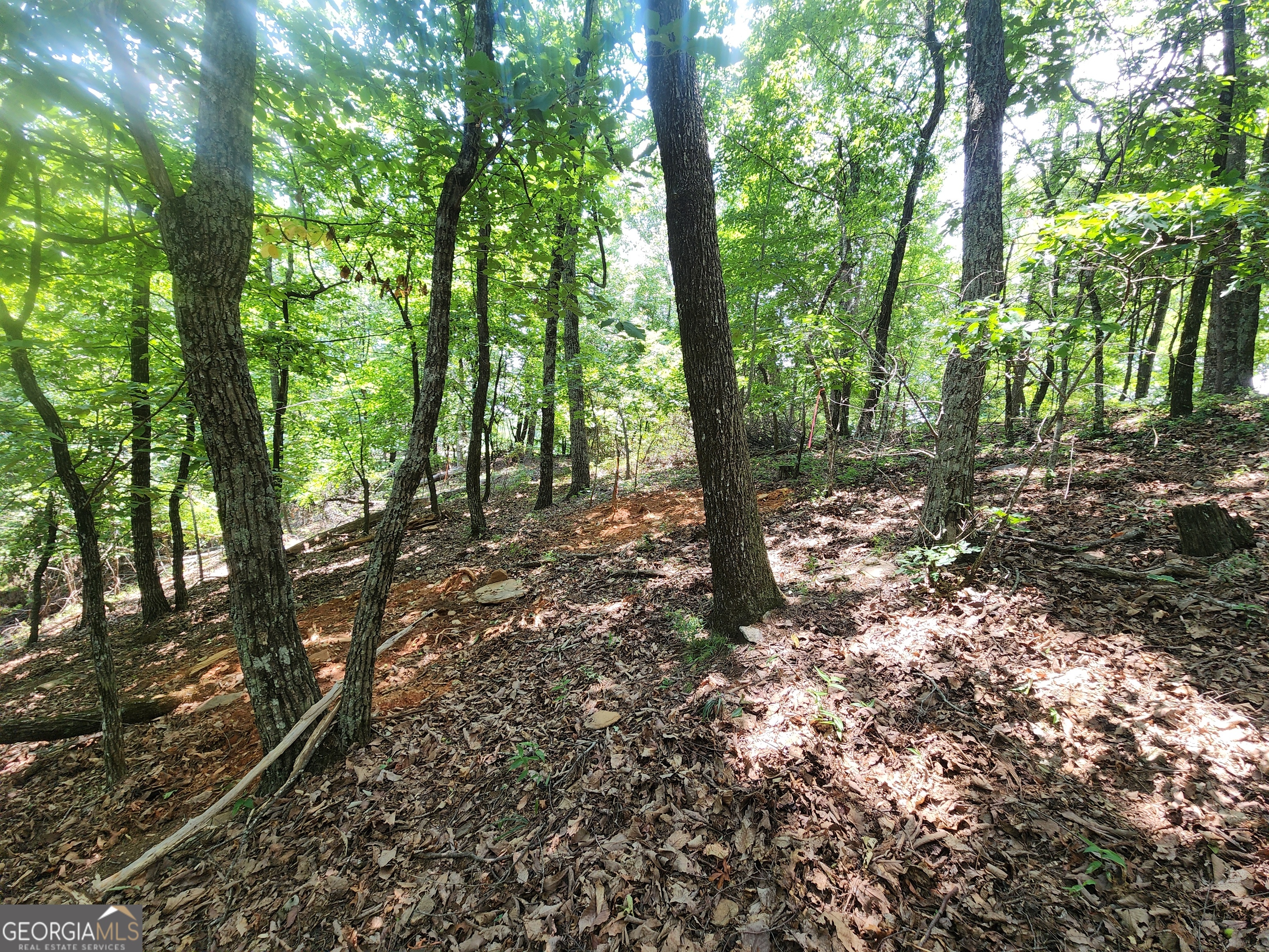 Lot #14 Little Eagle Mtn Property Photo 6
