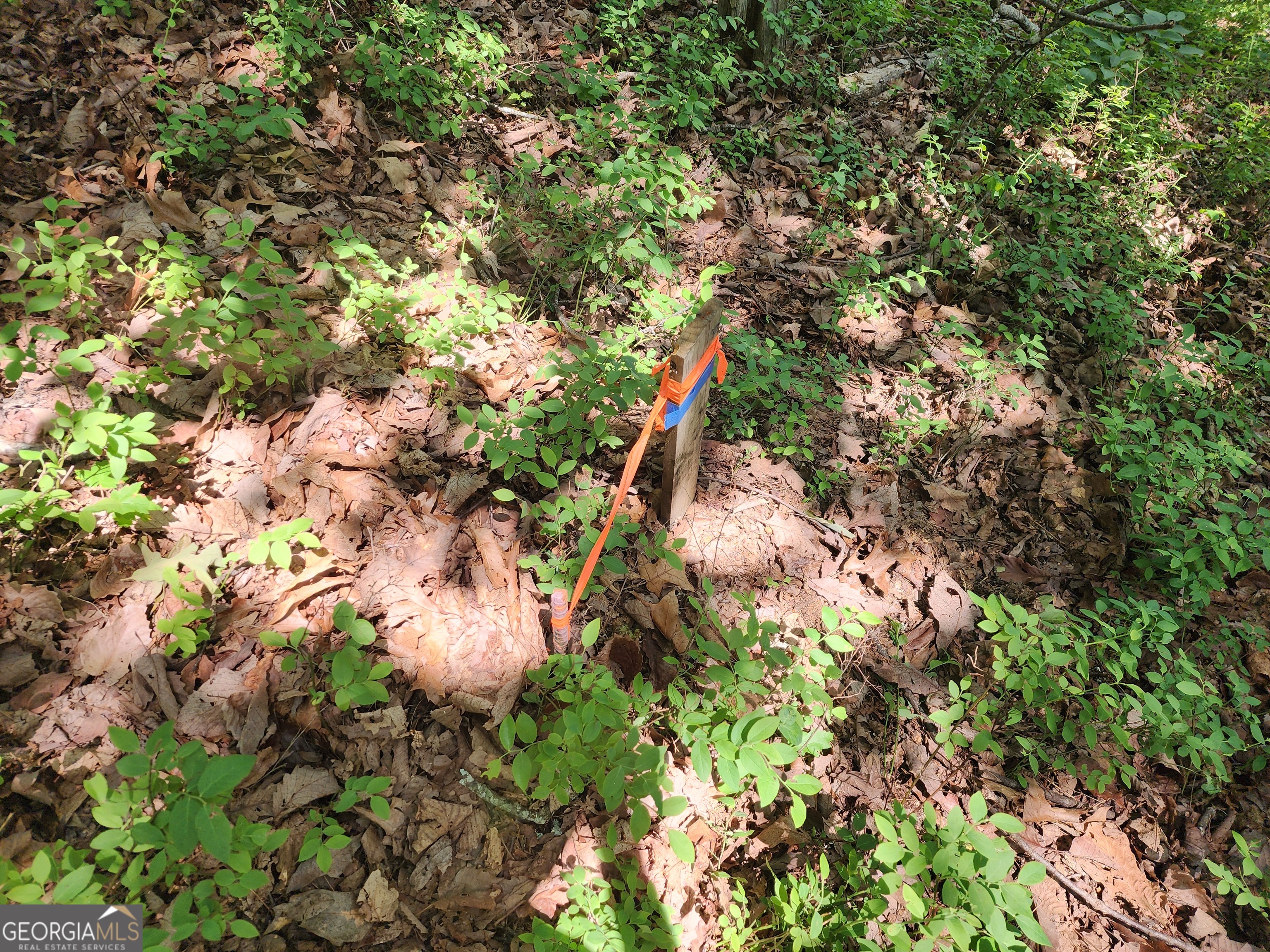 Lot #14 Little Eagle Mtn Property Photo 7