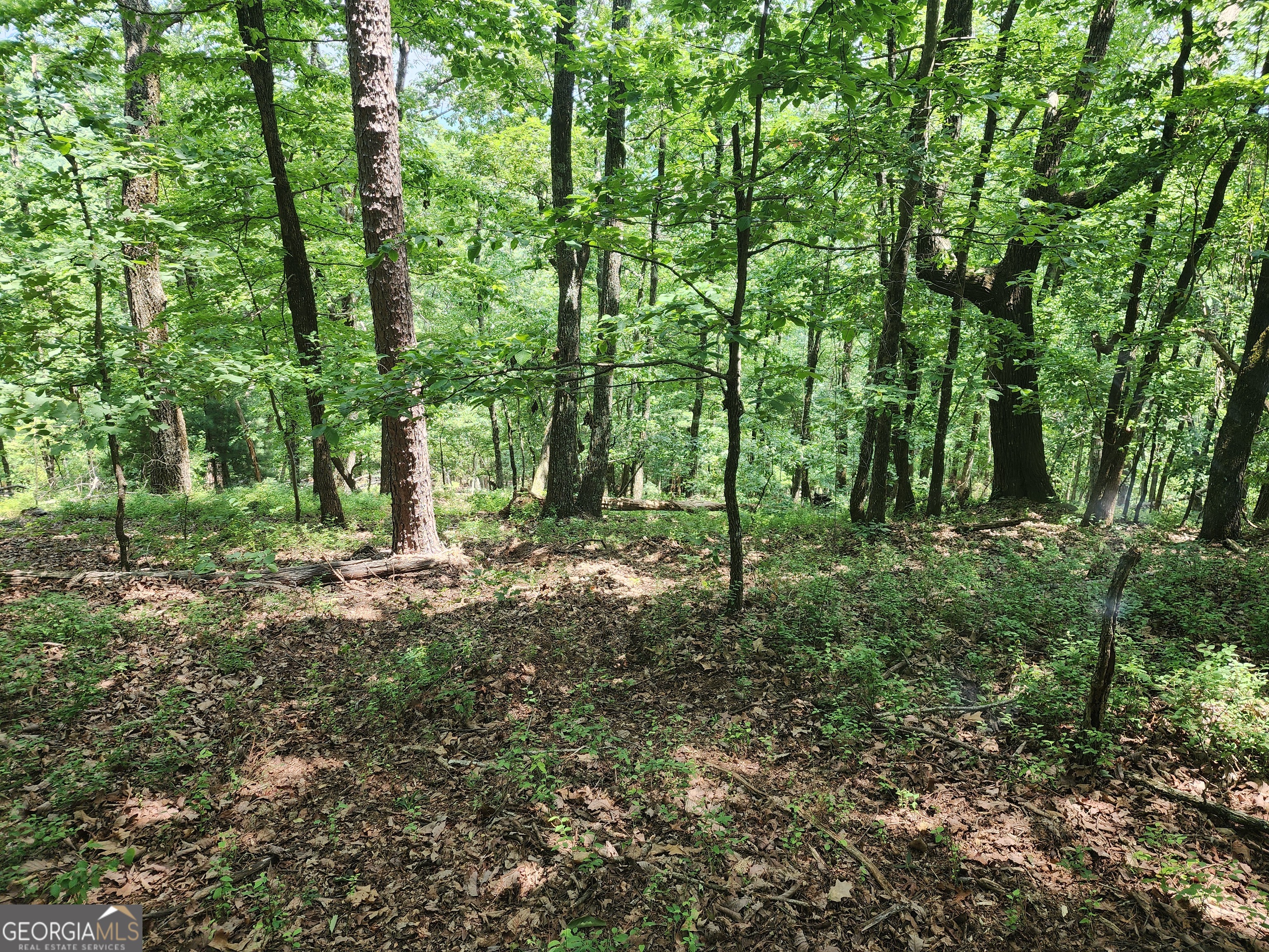 Lot #14 Little Eagle Mtn Property Photo 8