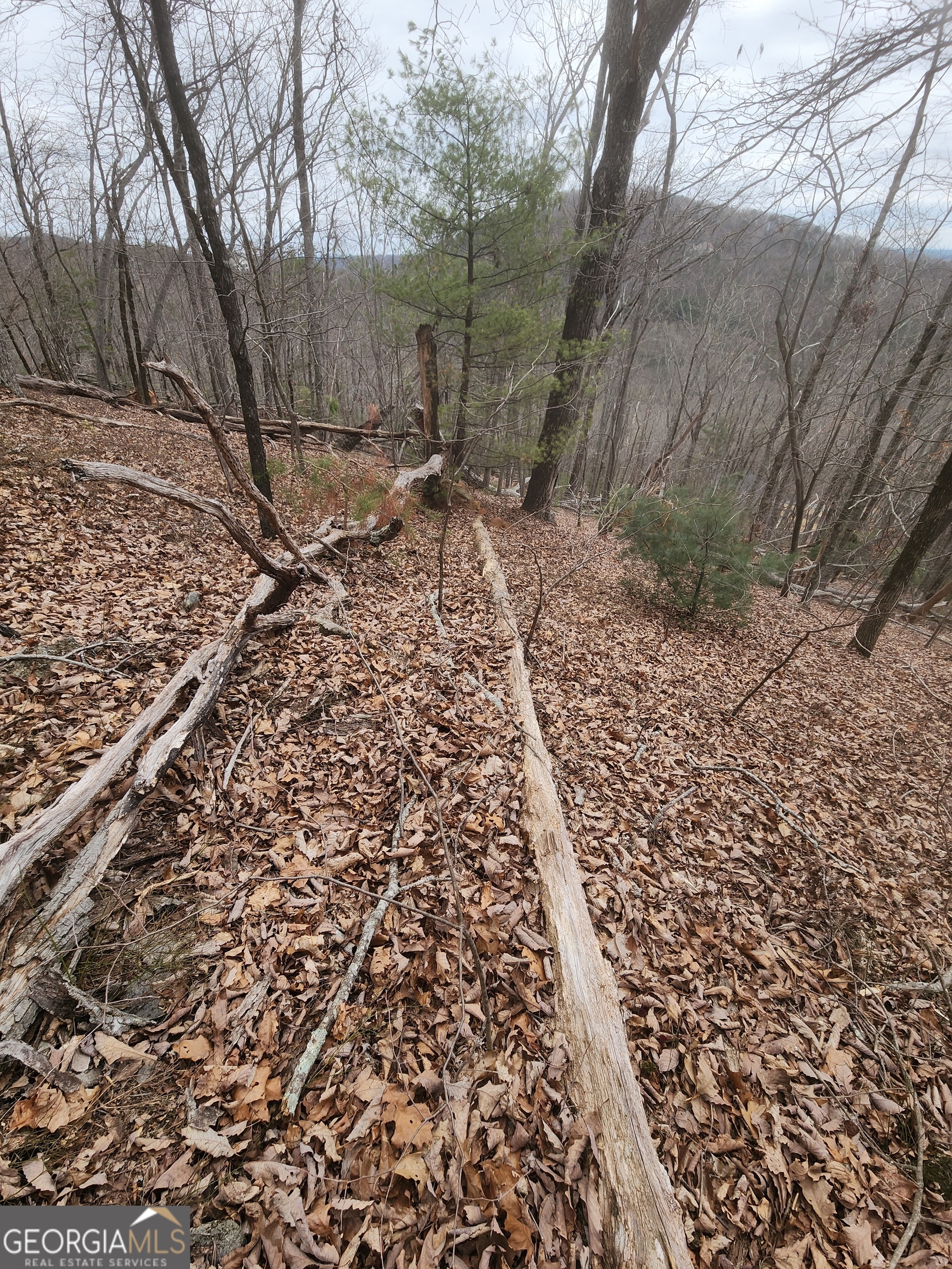 Lot #14 Little Eagle Mtn Property Photo 9