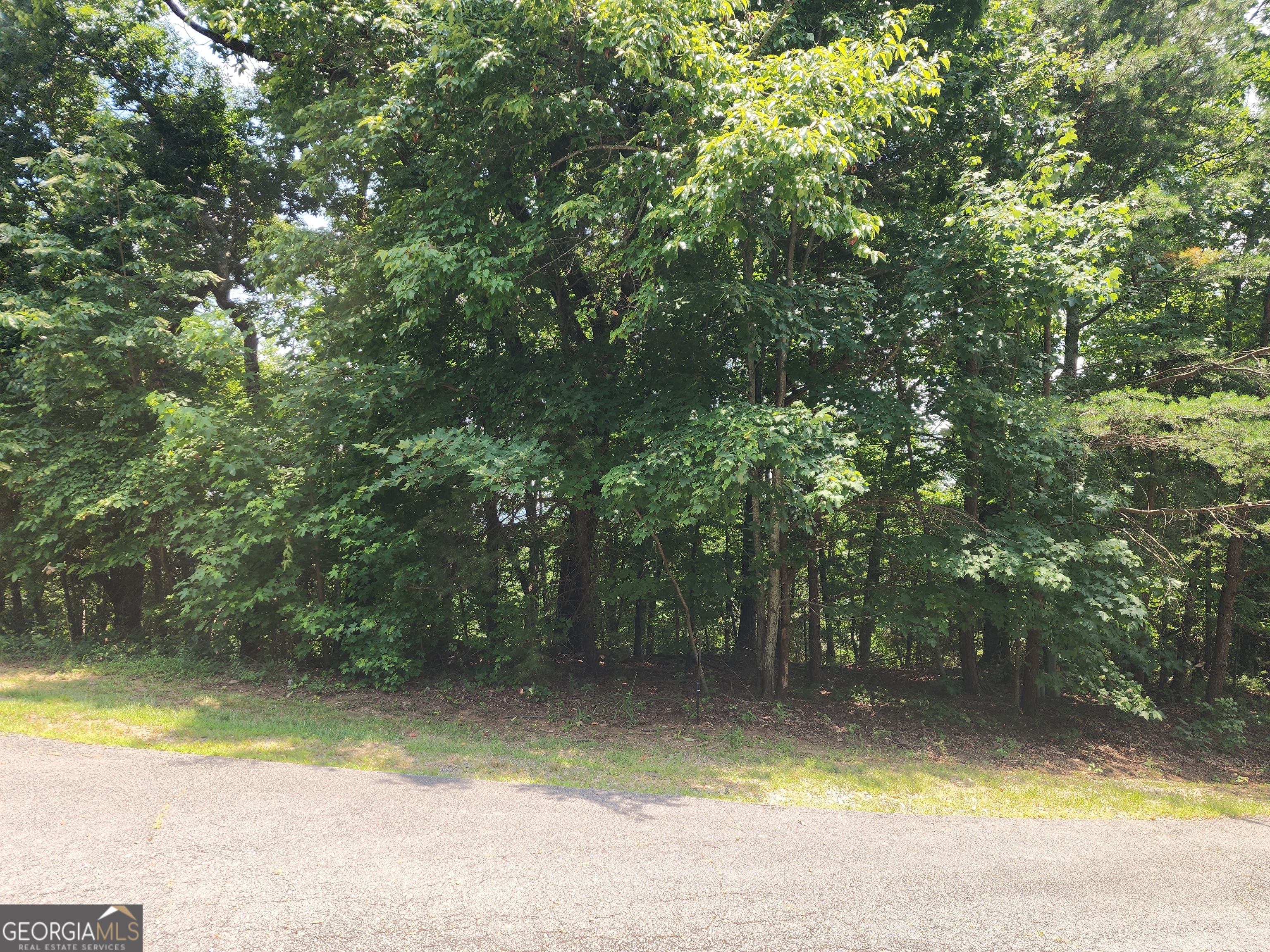 Lot #14 Little Eagle Mtn Property Photo 10