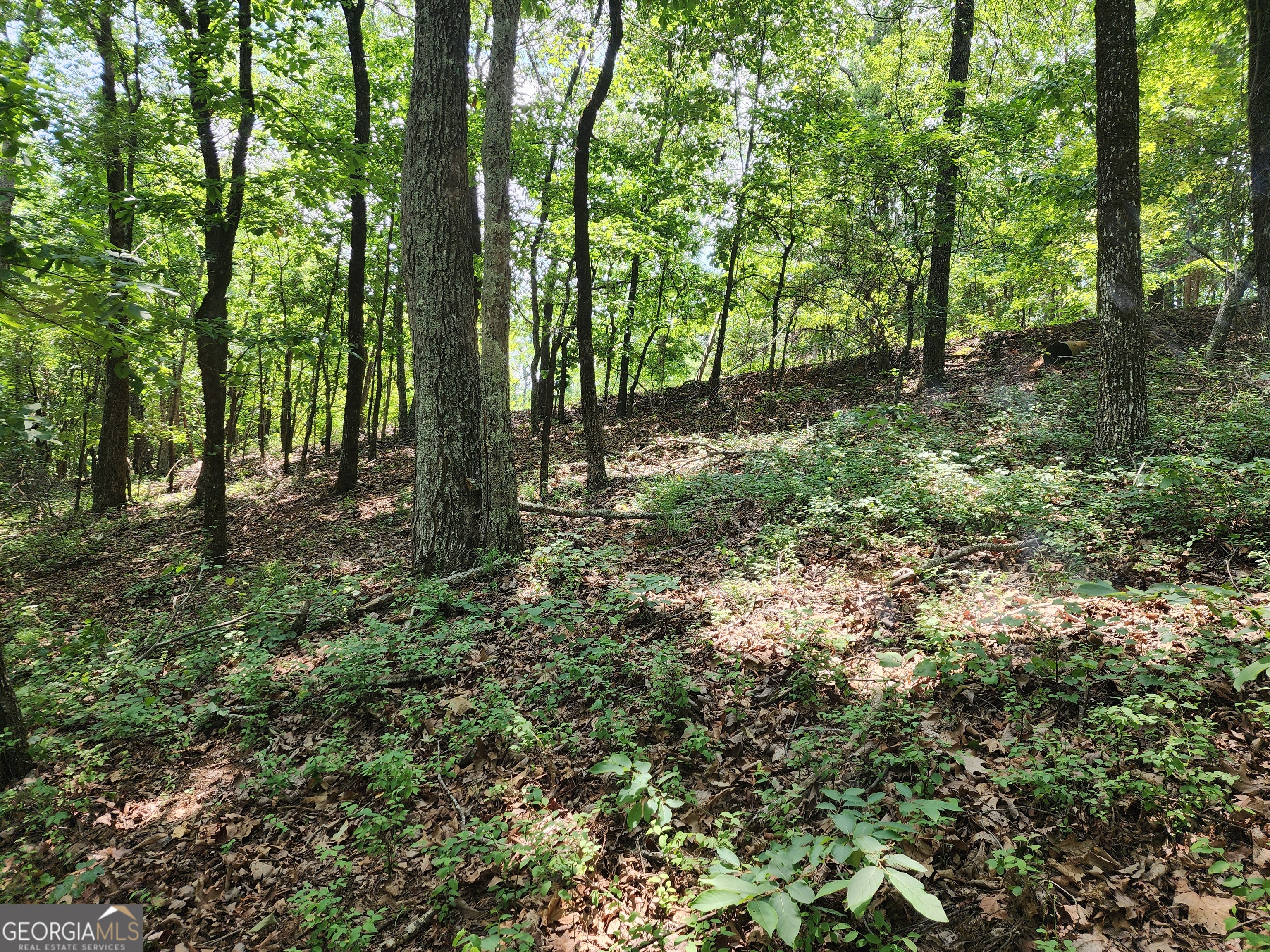 Lot #14 Little Eagle Mtn Property Photo 13