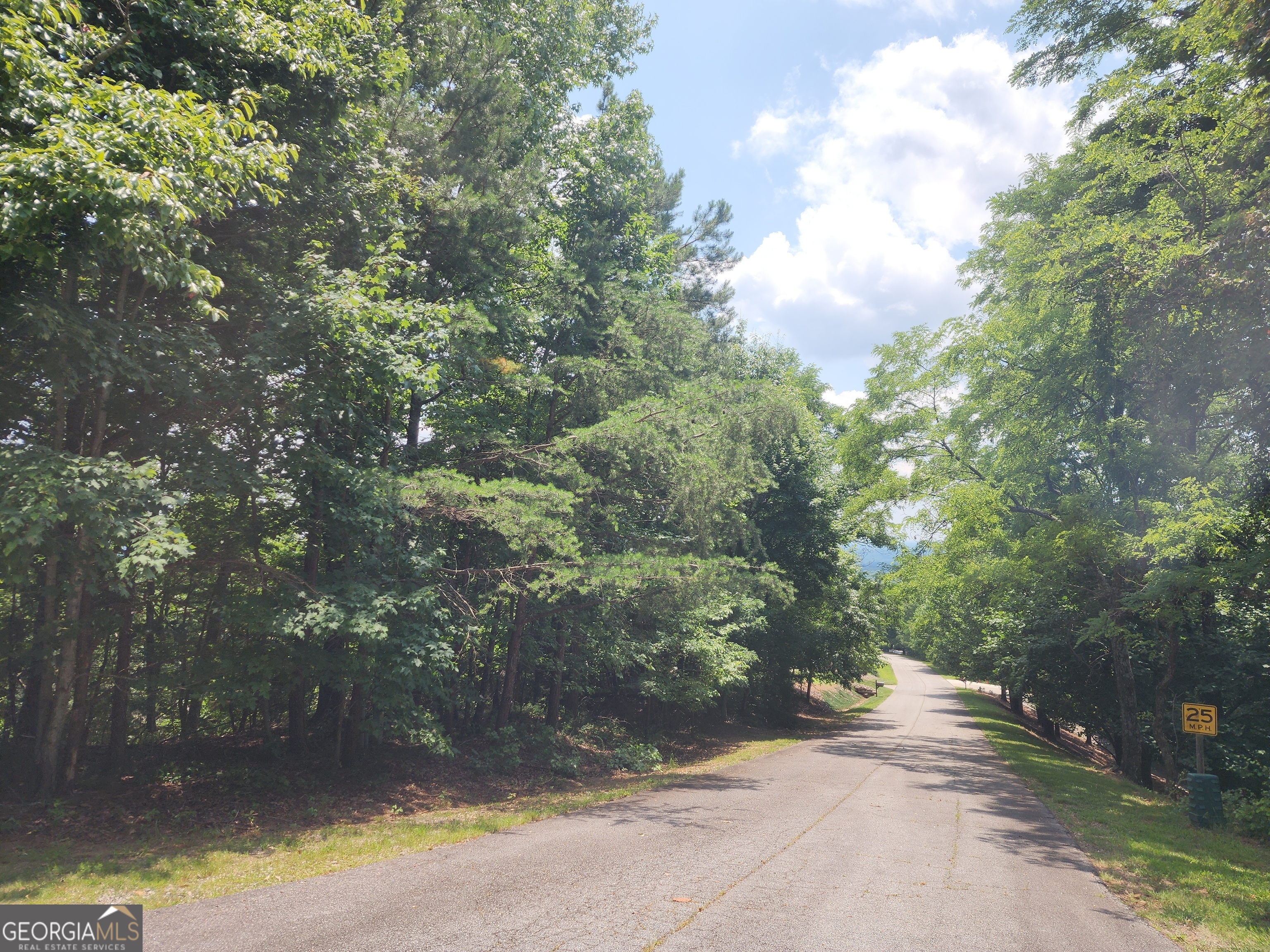 Lot #14 Little Eagle Mtn Property Photo 14