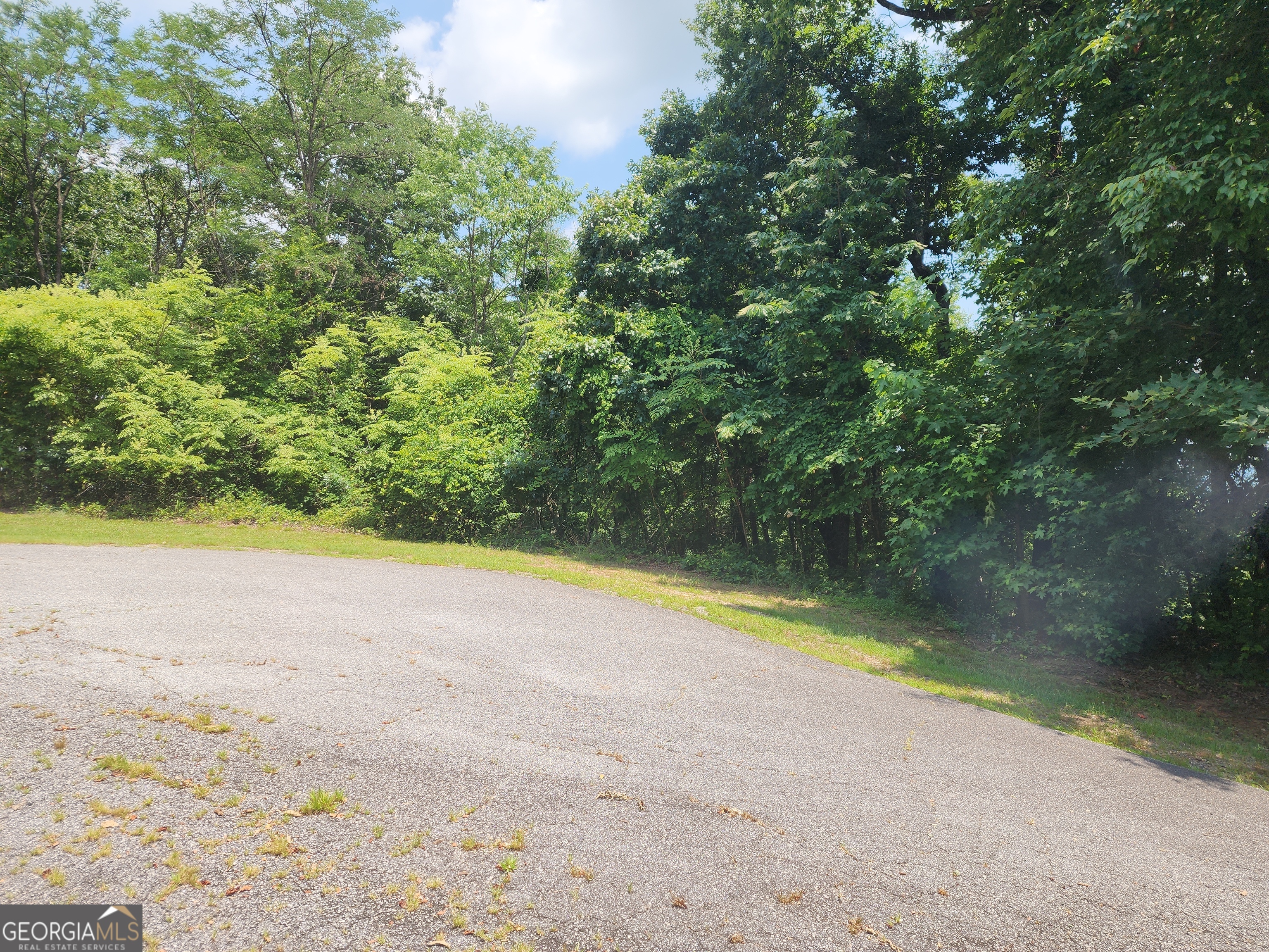 Lot #14 Little Eagle Mtn Property Photo 15