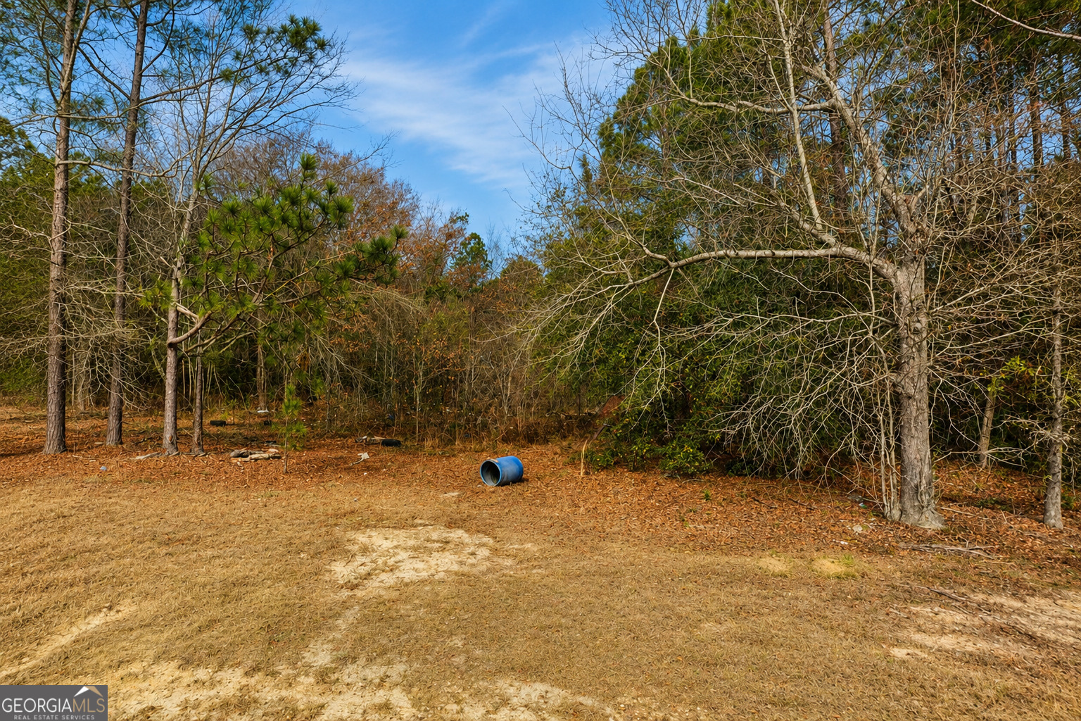 6965 Jim Pruett Road Property Photo 4