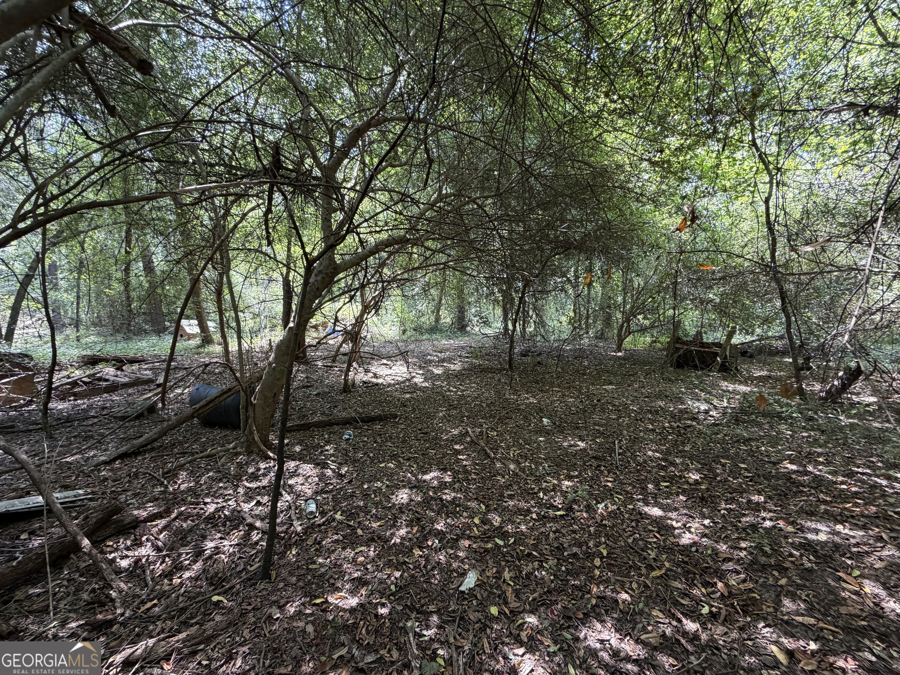 6965 Jim Pruett Road Property Photo 5