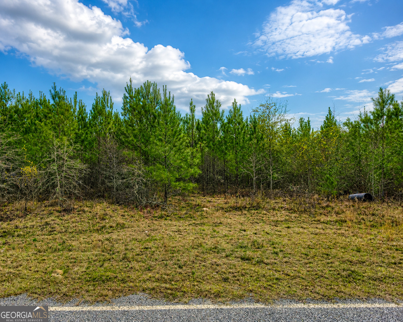6965 Jim Pruett Road Property Photo 6