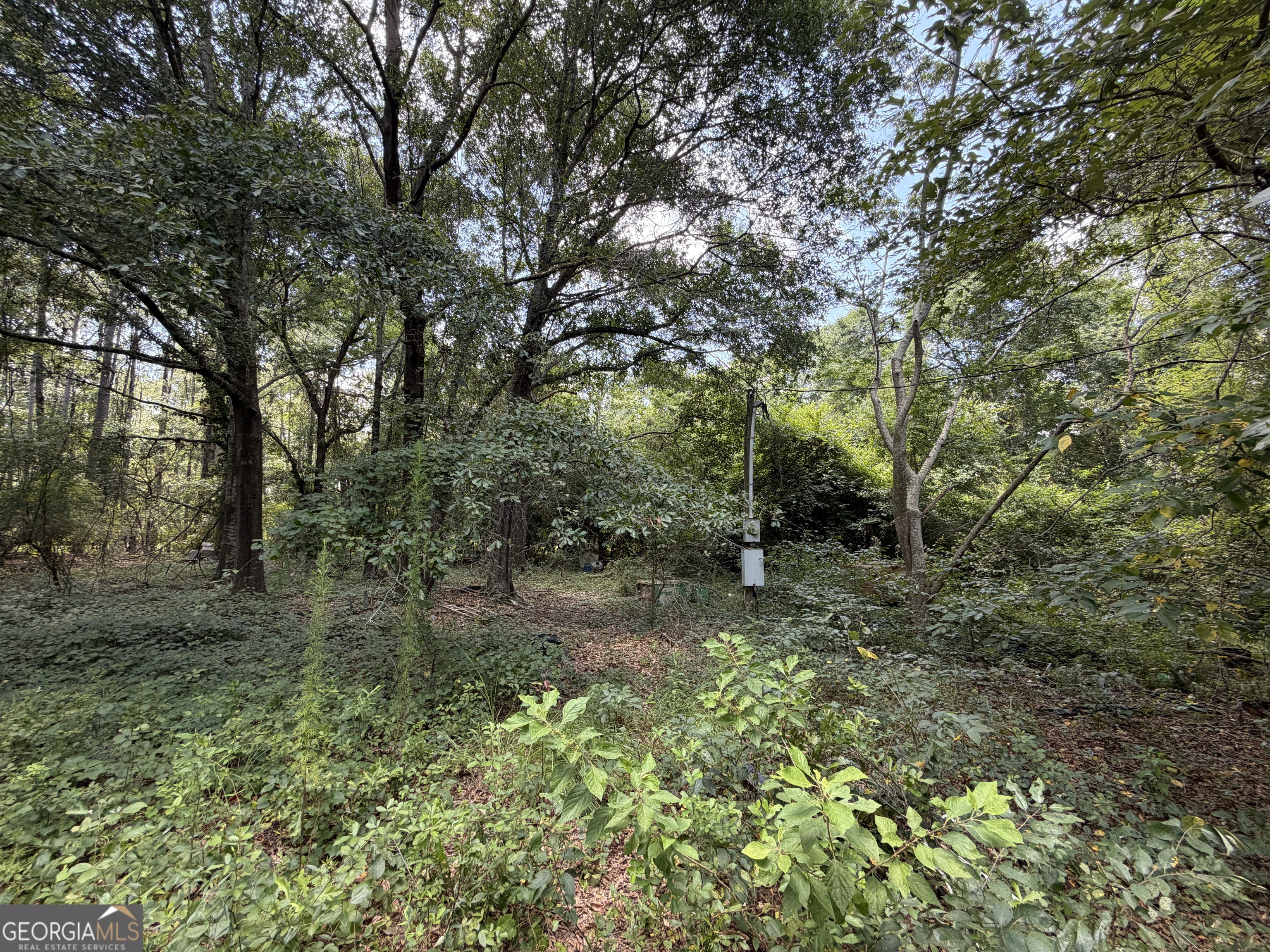 6965 Jim Pruett Road Property Photo 9