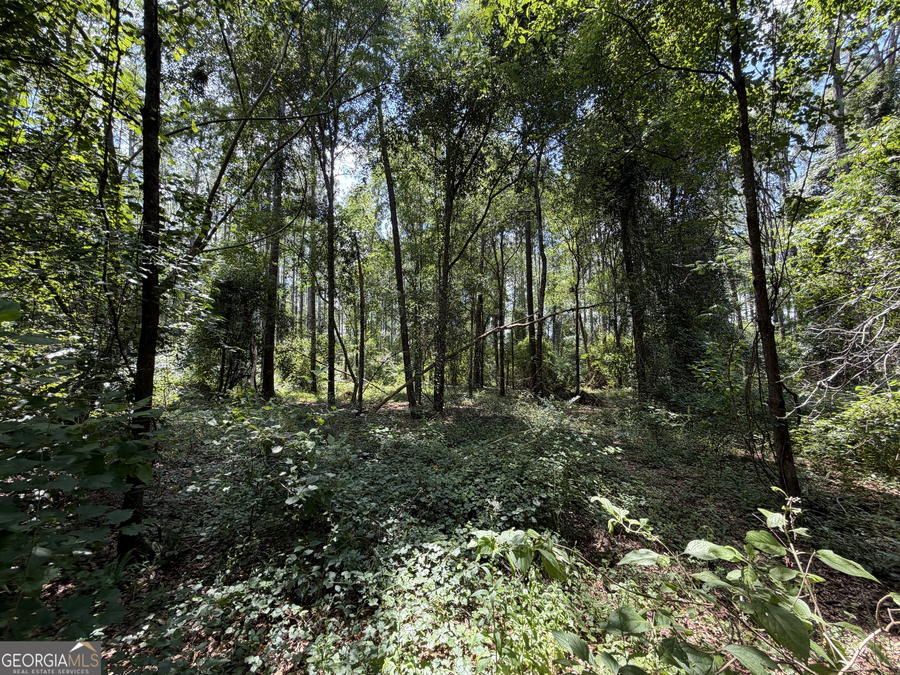 6965 Jim Pruett Road Property Photo 11
