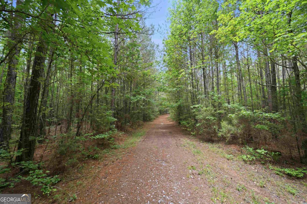 0 Pear Orchard Road Property Photo 2
