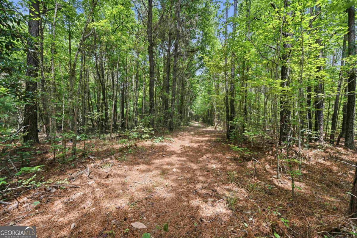 0 Pear Orchard Road Property Photo 3