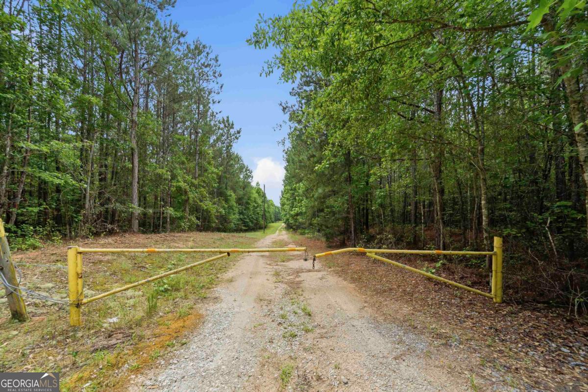 0 Pear Orchard Road Property Photo 8