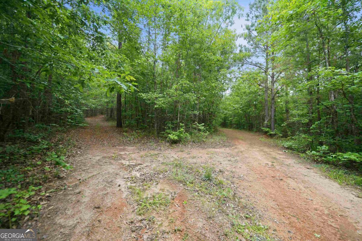 0 Pear Orchard Road Property Photo 9