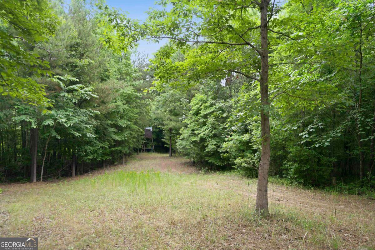 0 Pear Orchard Road Property Photo 11