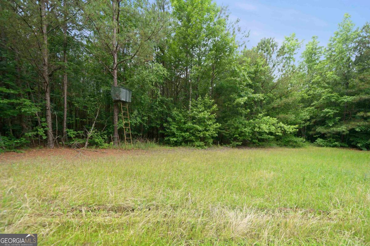 0 Pear Orchard Road Property Photo 12