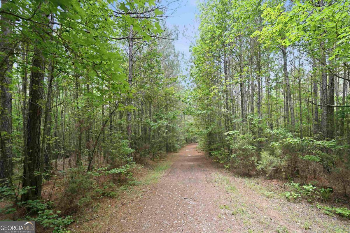 0 Pear Orchard Road Property Photo 13