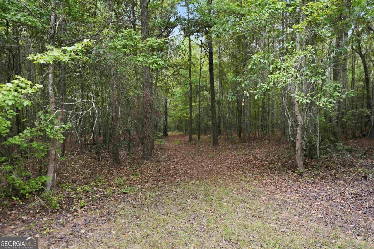 0 Pear Orchard Road Property Photo 18