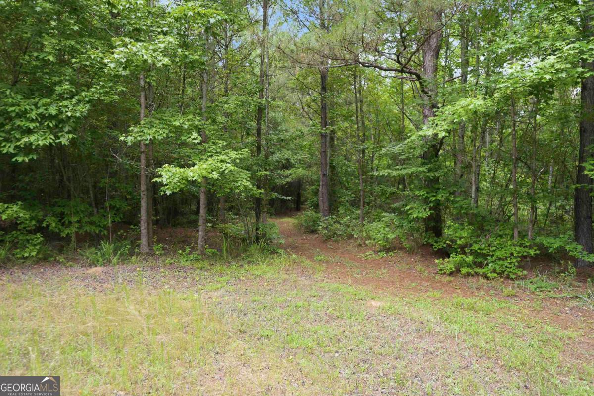 0 Pear Orchard Road Property Photo 19
