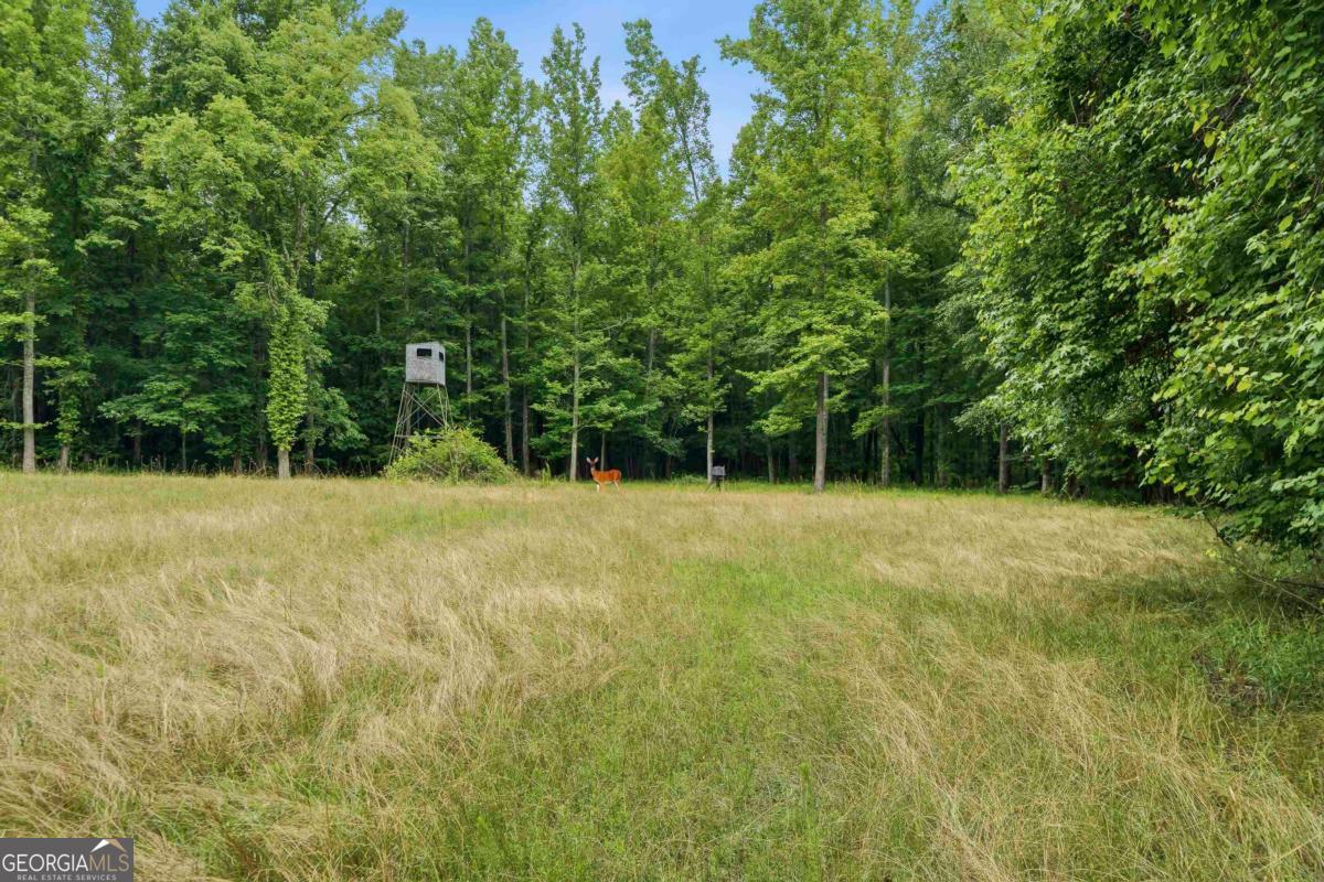 0 Pear Orchard Road Property Photo 21