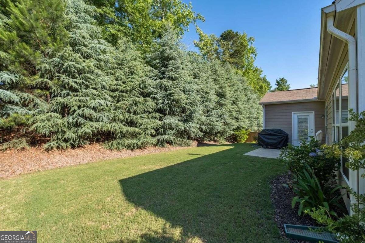 7455 Ashford Manor Way Property Photo 24
