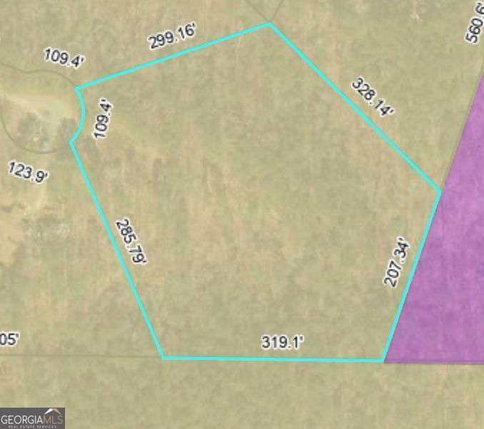20 Overlook Drive Property Photo 3