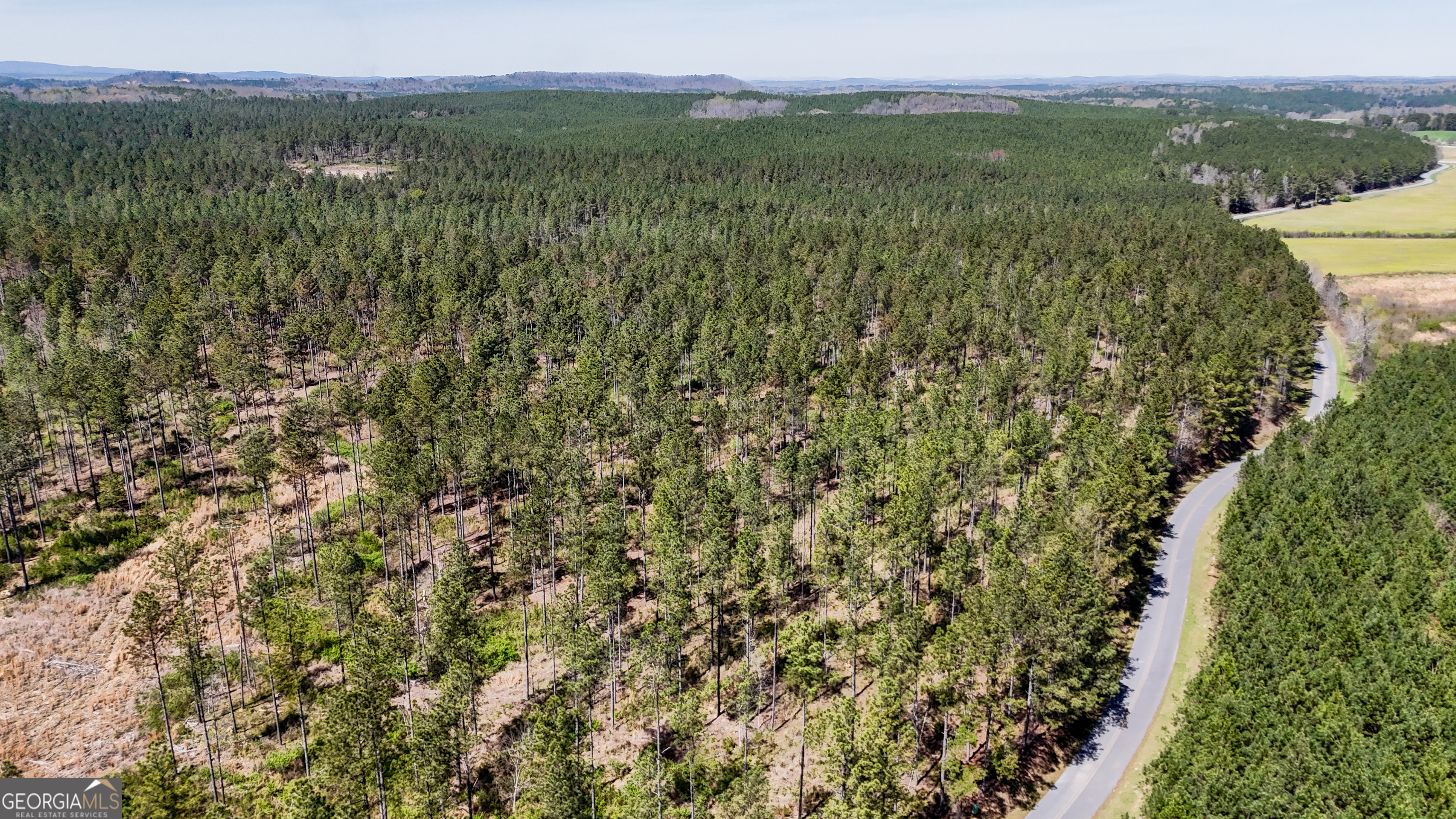 403 Acres Youngs Farm Road Property Photo 1