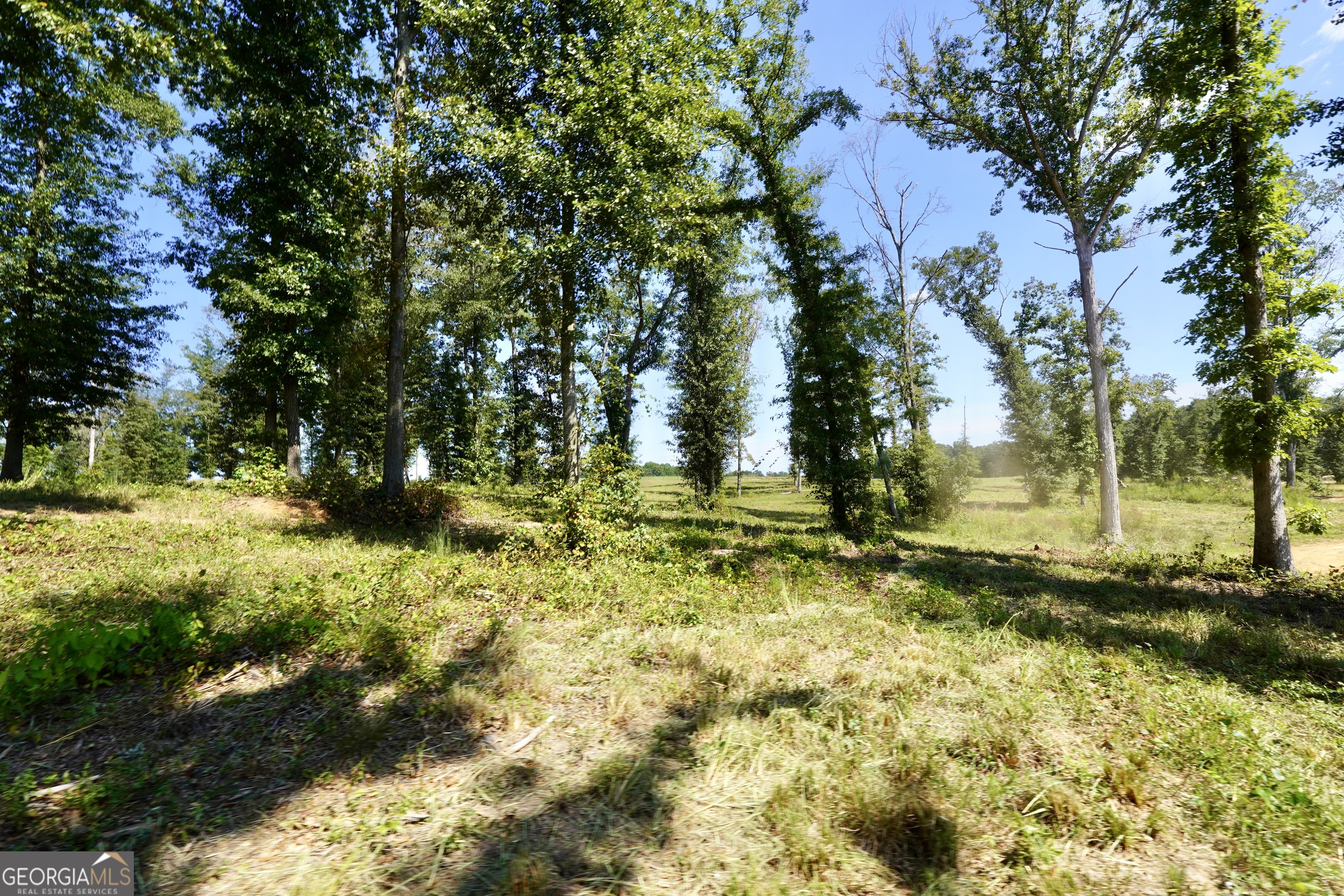 0 Walters Road Property Photo 21