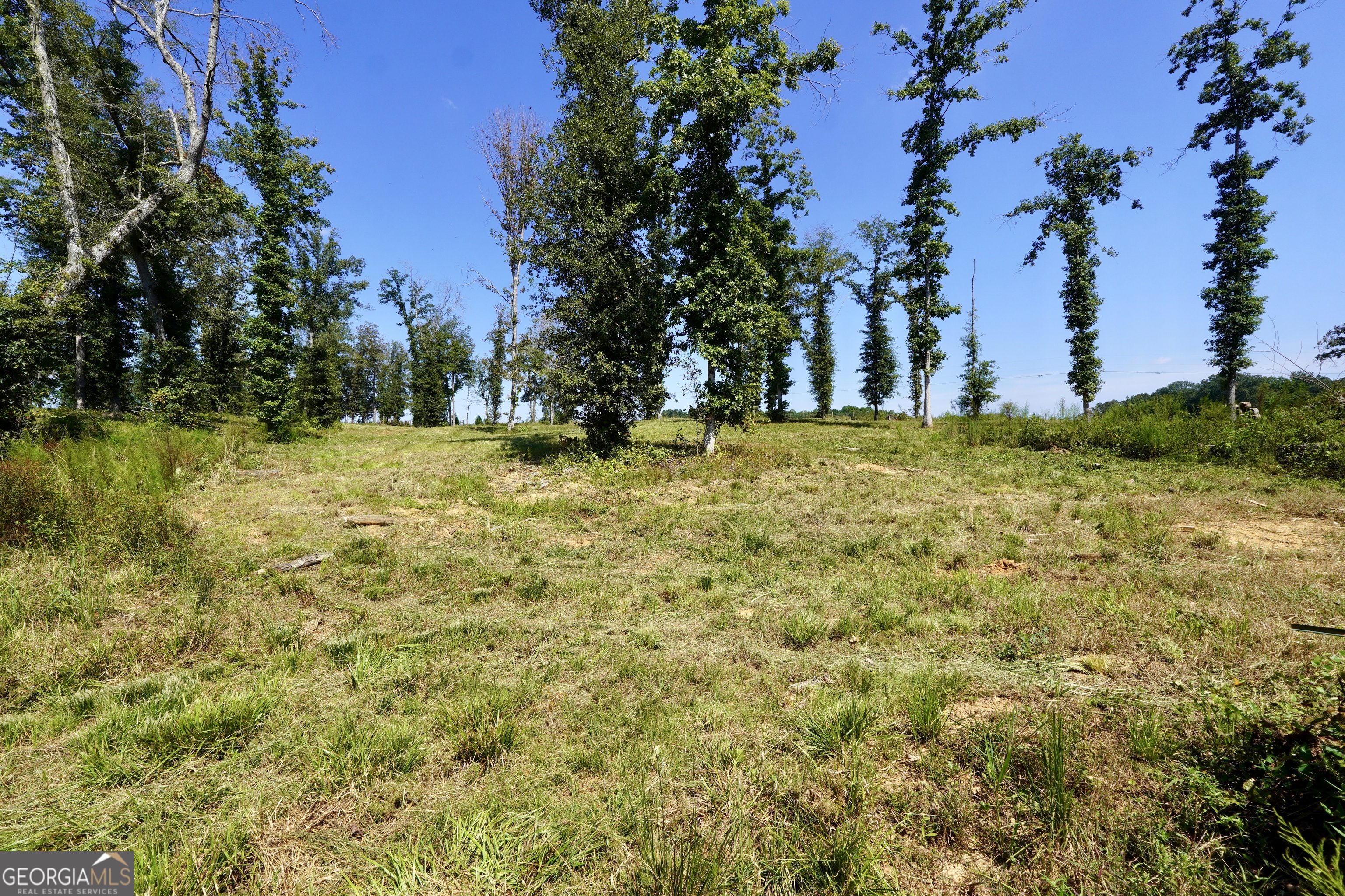 0 Walters Road Property Photo 22