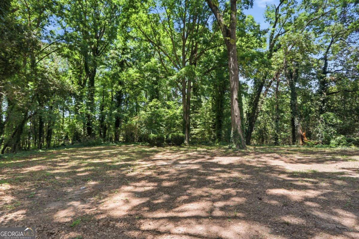 1733 Bethsaida Road Property Photo 31