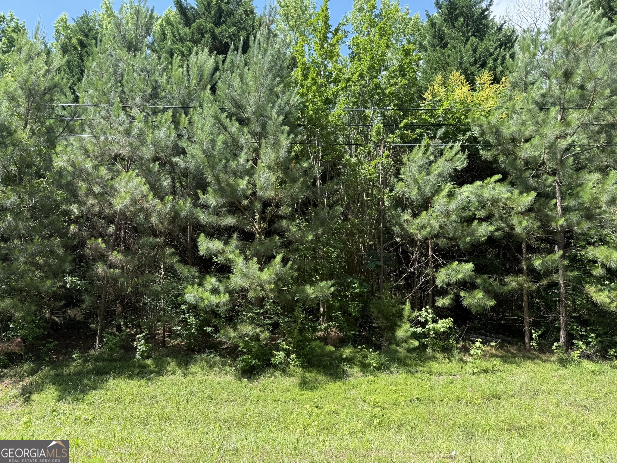 1425 River Road Property Photo 1