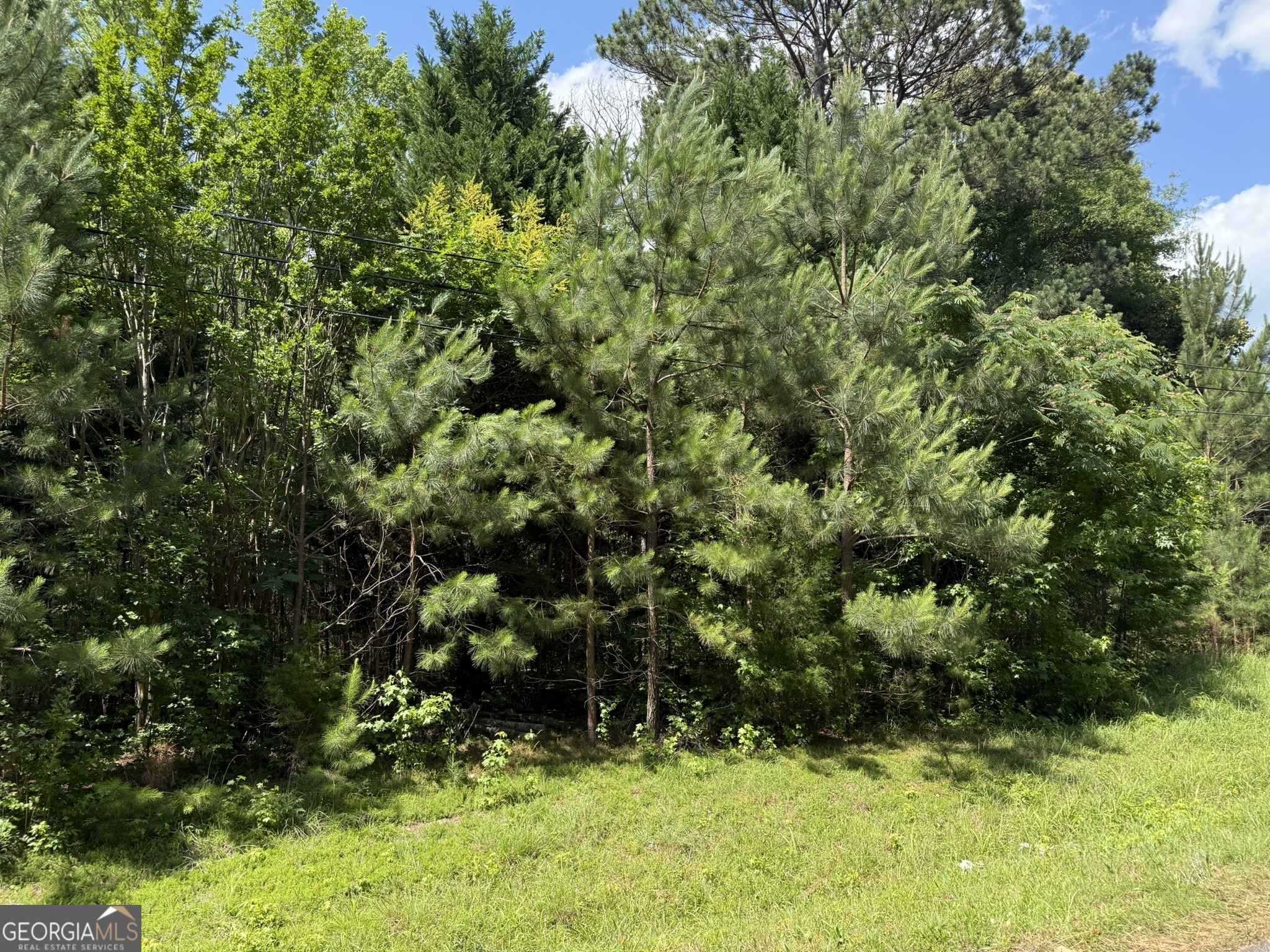1425 River Road Property Photo 2