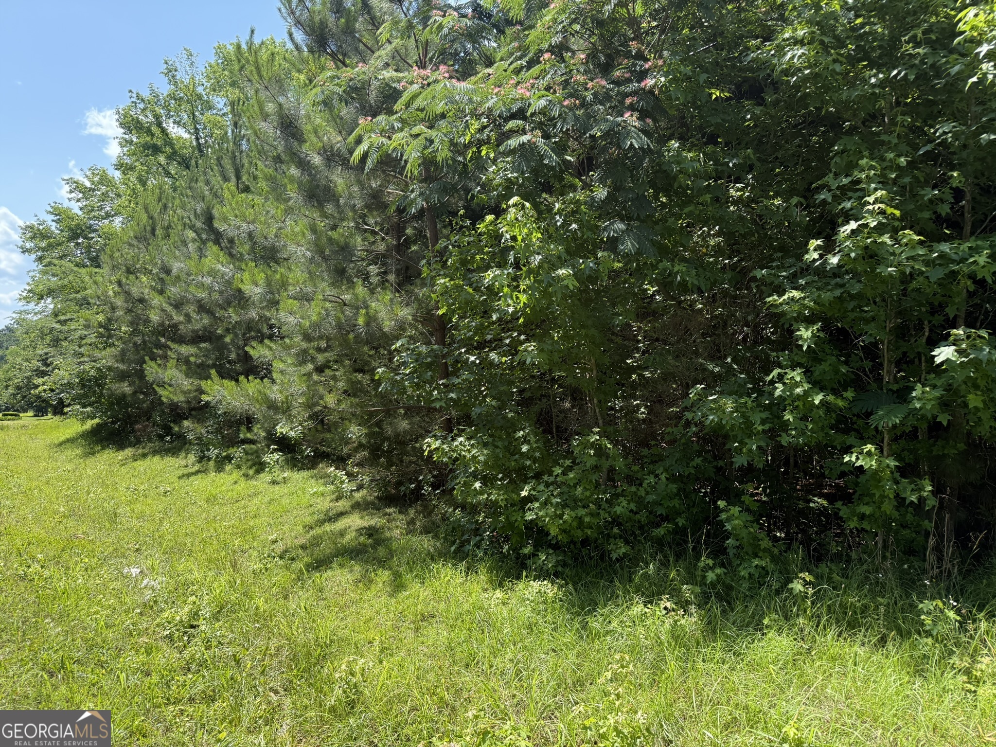1425 River Road Property Photo 3
