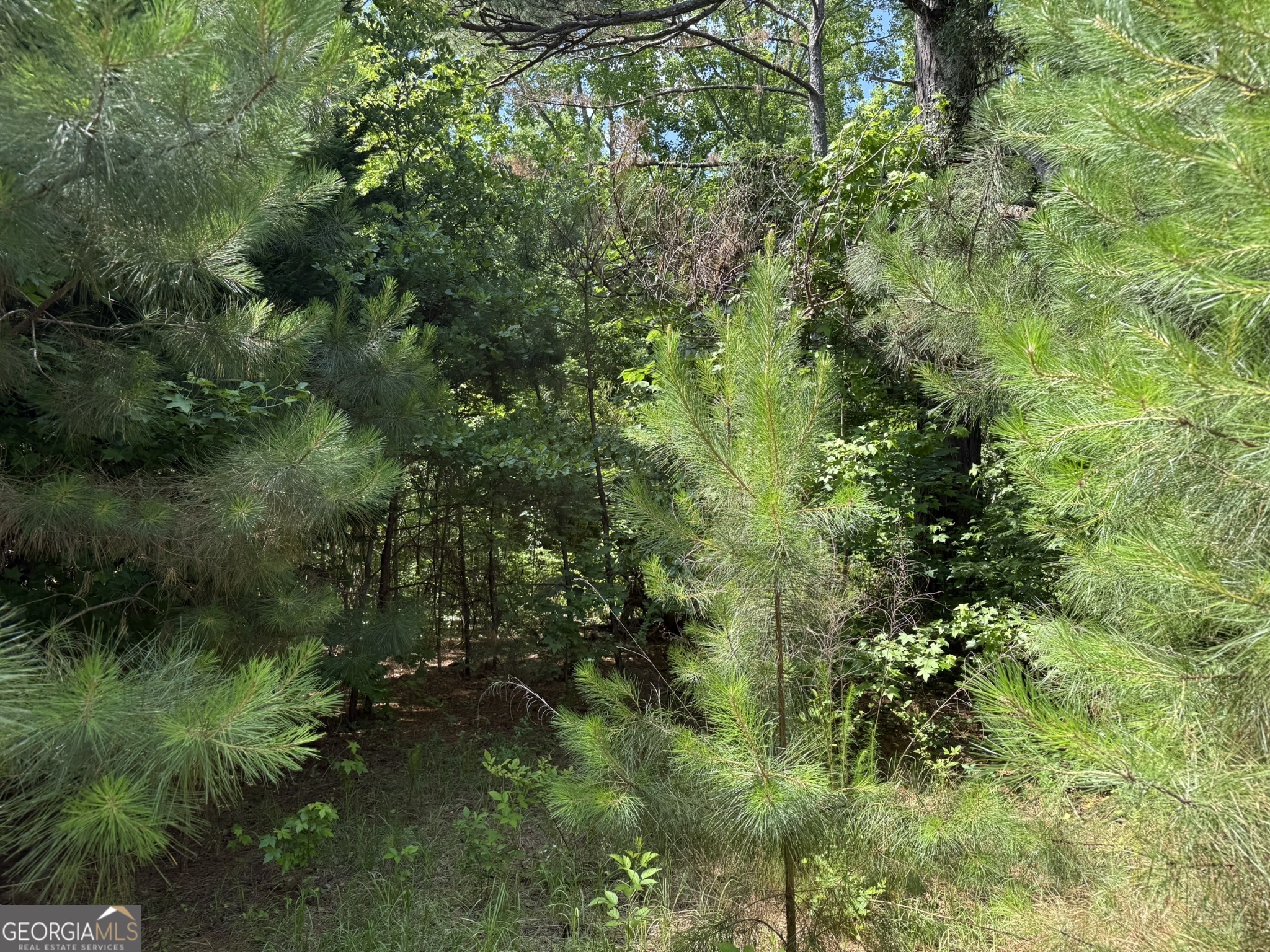 1425 River Road Property Photo 4