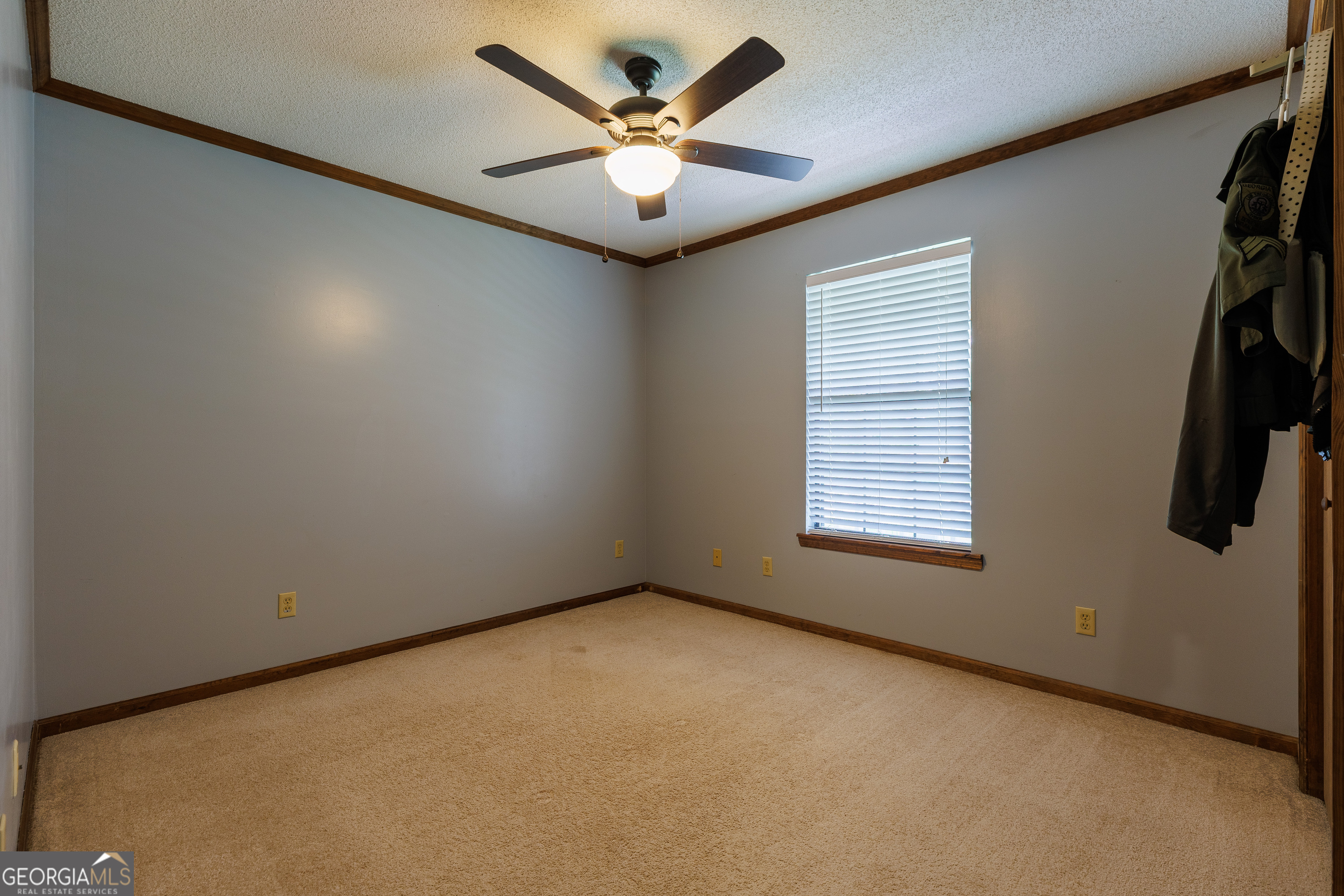11 Morgan Street Property Photo 27
