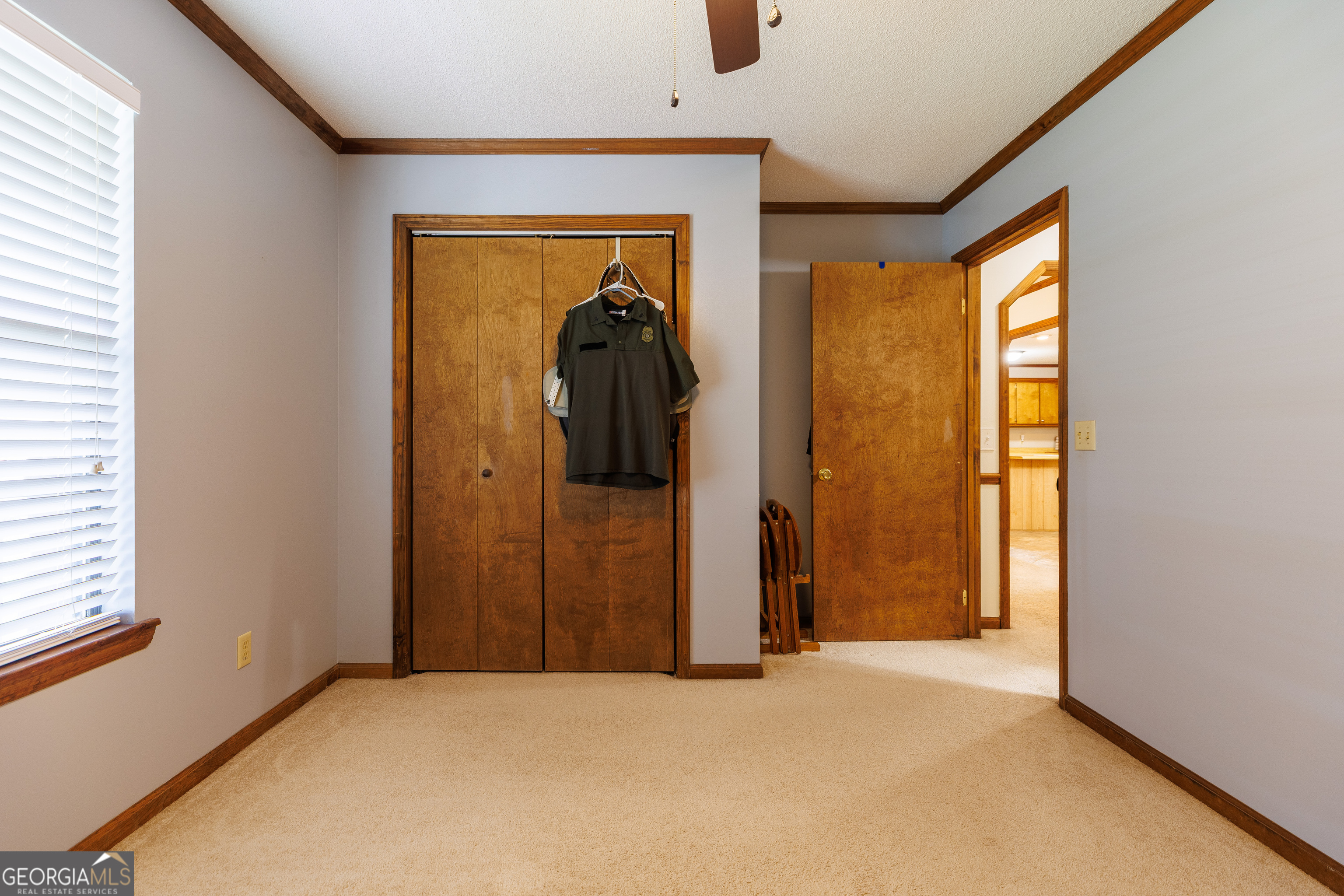 11 Morgan Street Property Photo 28