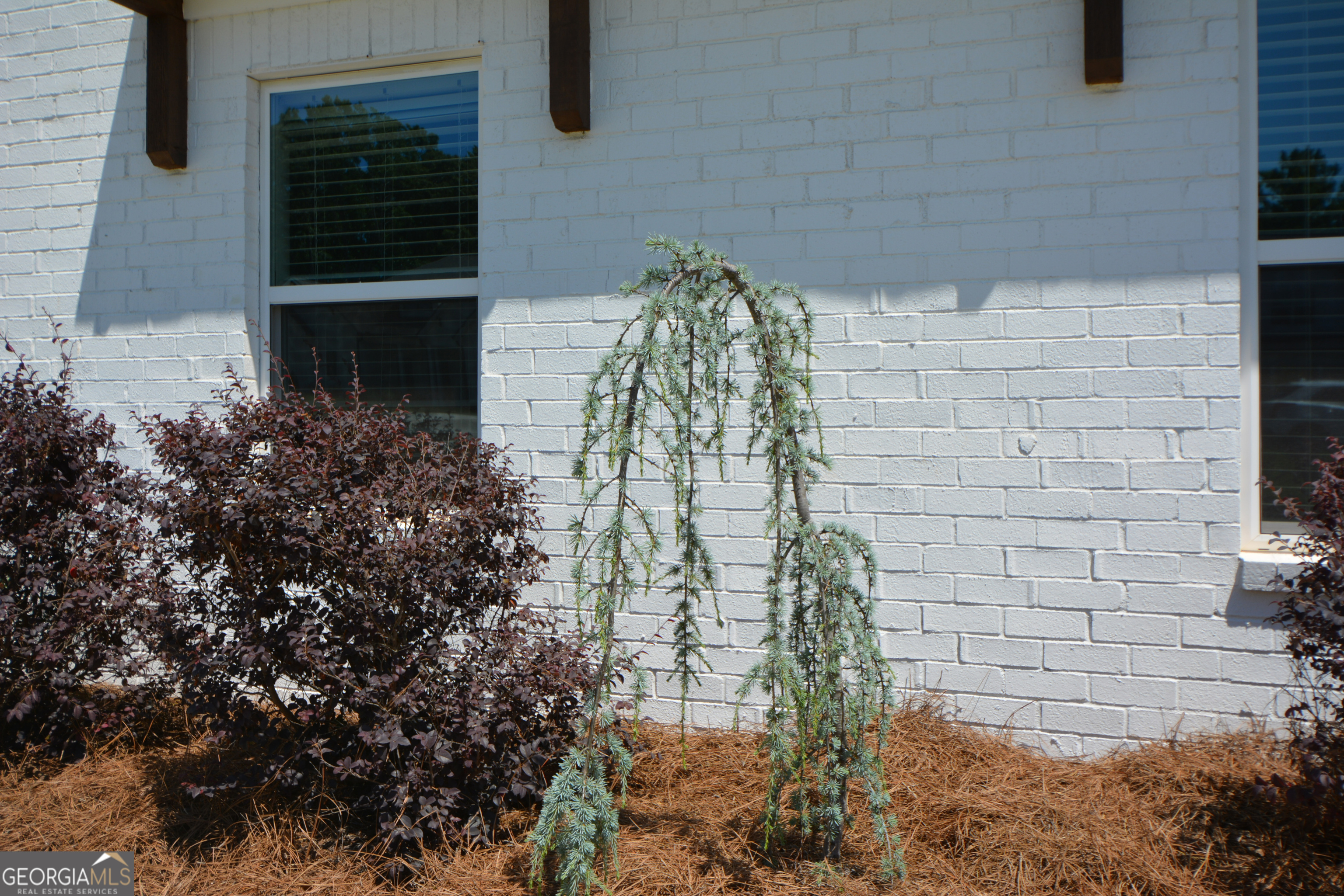 65 Starr Place Property Photo 84
