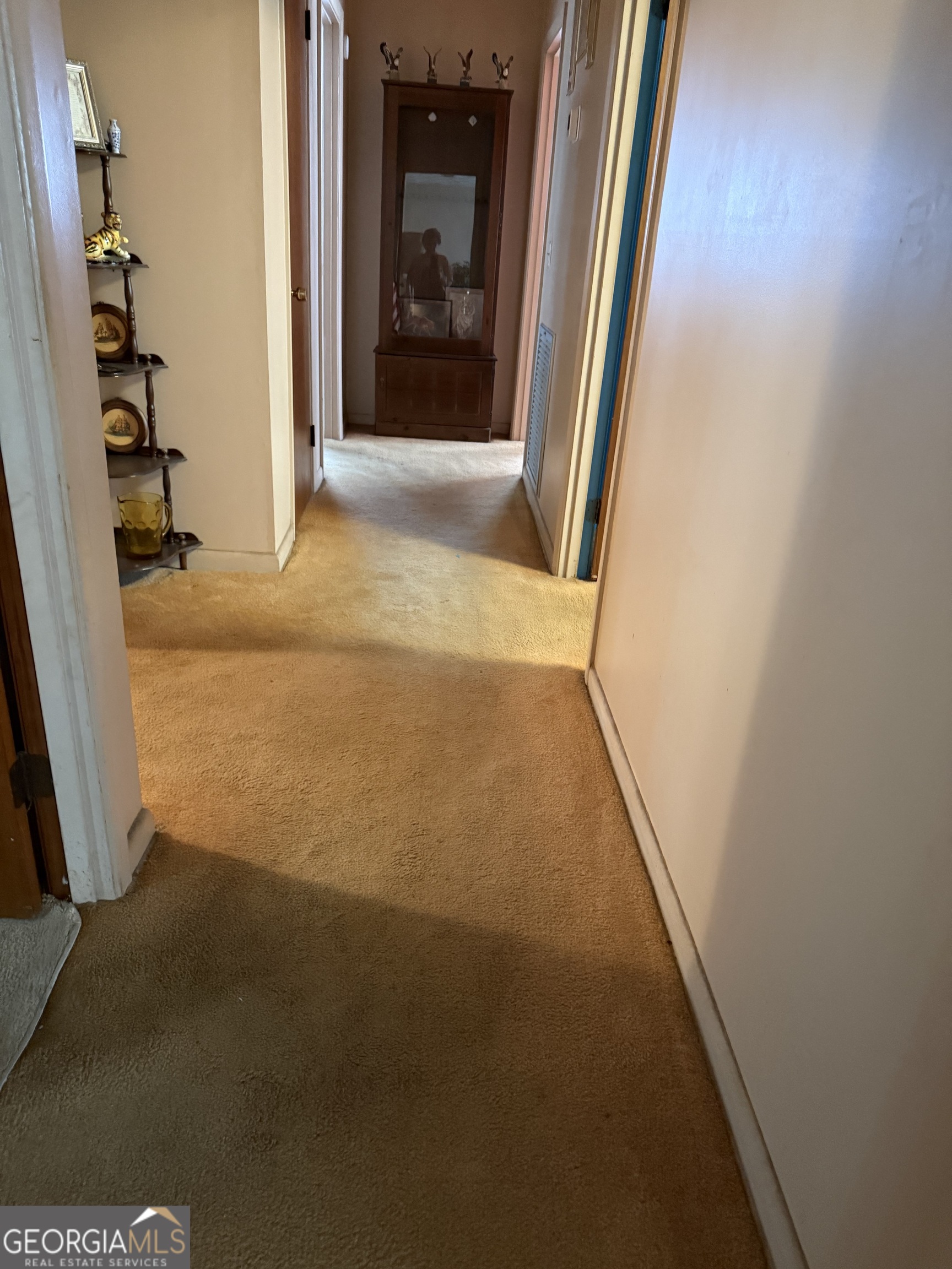 12 Elementary Street Property Photo 10