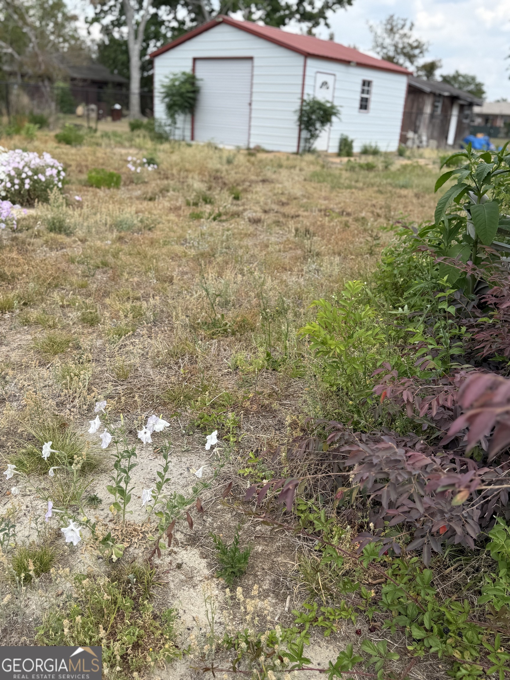 12 Elementary Street Property Photo 12