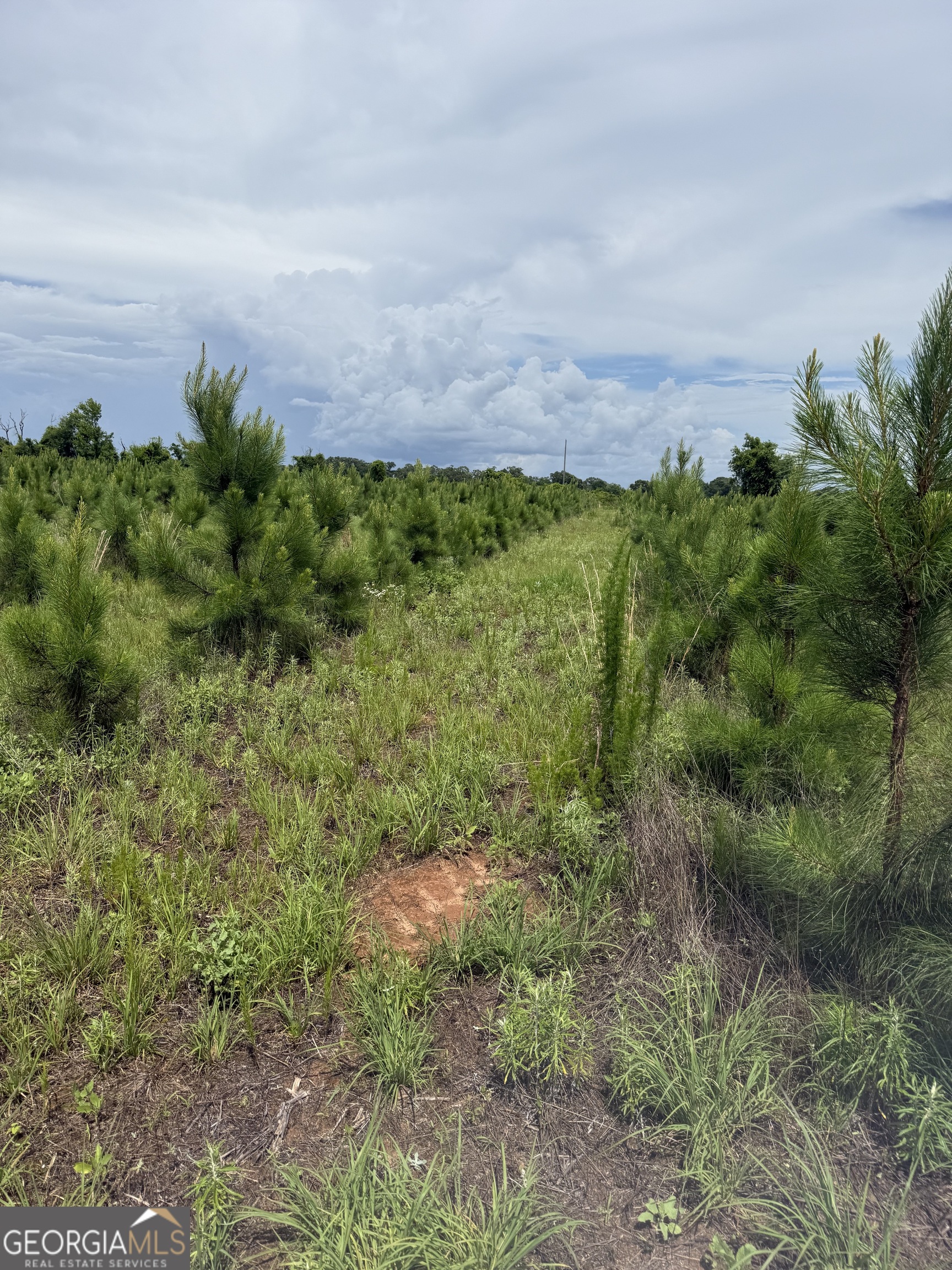 4276 County Line Road Property Photo 1