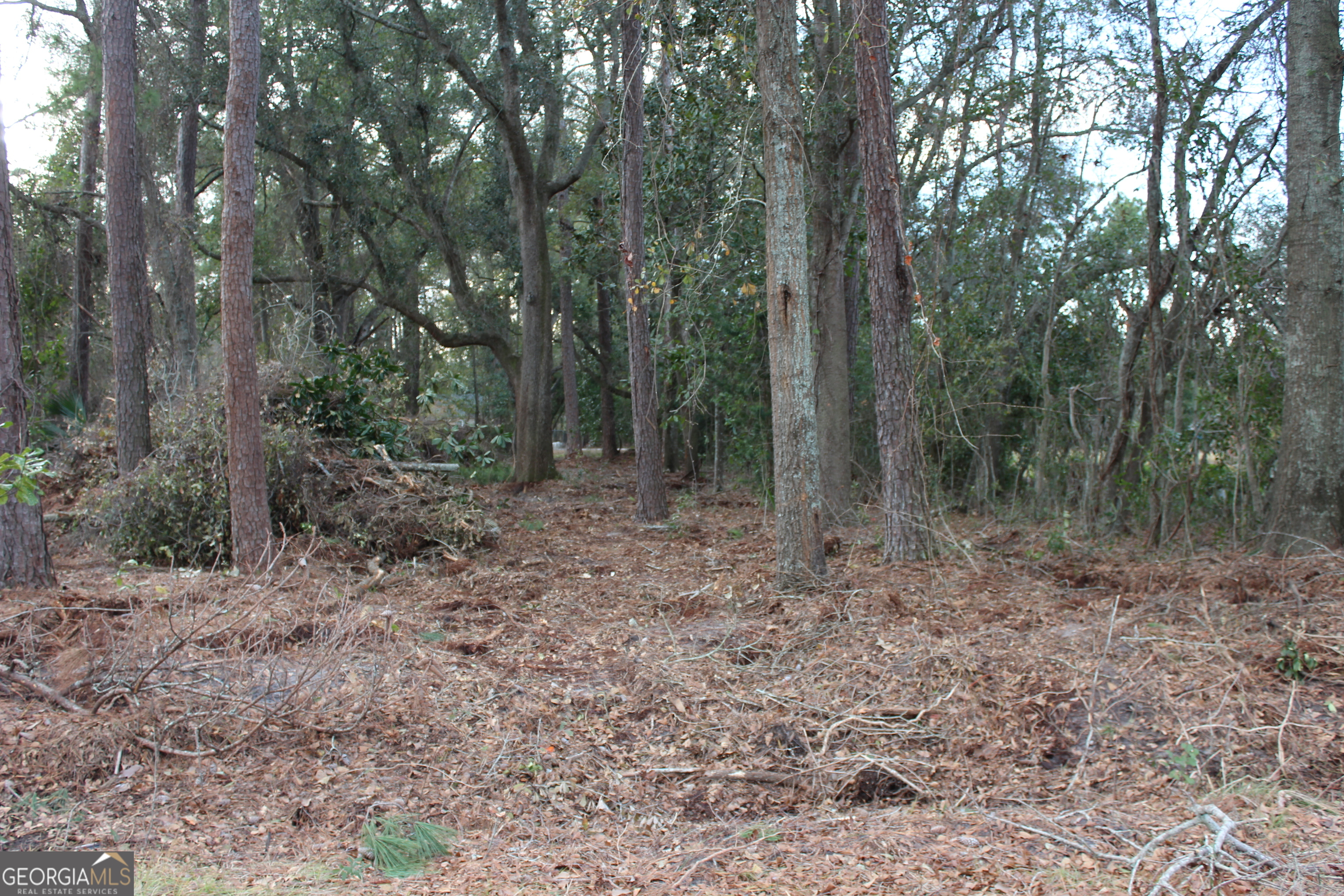 0 Lott Street S Property Photo 1