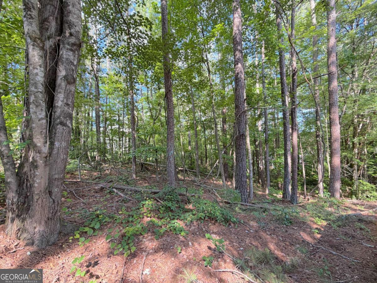 1306 Southgate Drive Property Photo 1