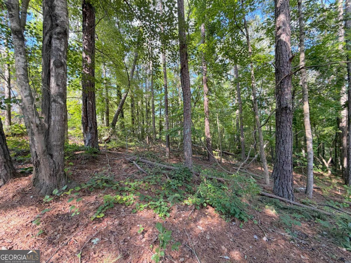 1306 Southgate Drive Property Photo 3